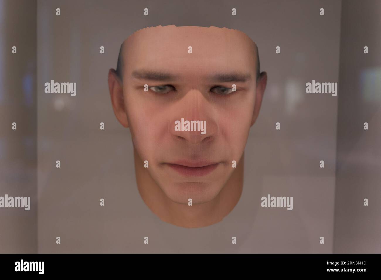 Un visage composite/moyenné imprimé en 3D que l'artiste a réalisé à l'aide de matériel génétique séquencé à partir de mégots de cigarettes, de cheveux et de chewing-gum jetés Banque D'Images