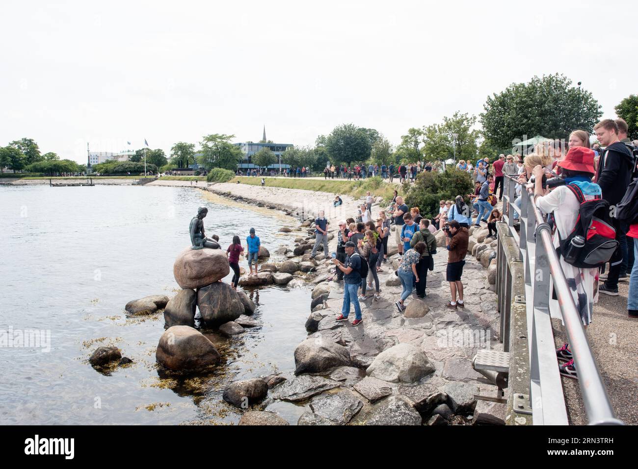 Statue de la petite Sirène Langelinie Promenade Copenhague // COPENHAGUE, Danemark — L'emblématique statue de la petite Sirène perchée sur un rocher au bord de l'eau à Langelinie Promenade. Commandée en 1909 et dévoilée en 1913, cette statue en bronze est devenue un emblème de Copenhague et s'inspire du conte de Hans Christian Andersen du même nom. Banque D'Images Statue de la petite Sirène Langelinie Promenade Copenhague // COPENHAGUE, Danemark — L'emblématique statue de la petite Sirène perchée sur un rocher au bord de l'eau à Langelinie Promenade. Commandée en 1909 et dévoilée en 1913, cette statue en bronze est devenue un emblème de Copenhague et s'inspire du conte de Hans Christian Andersen du même nom. Banque D'Images