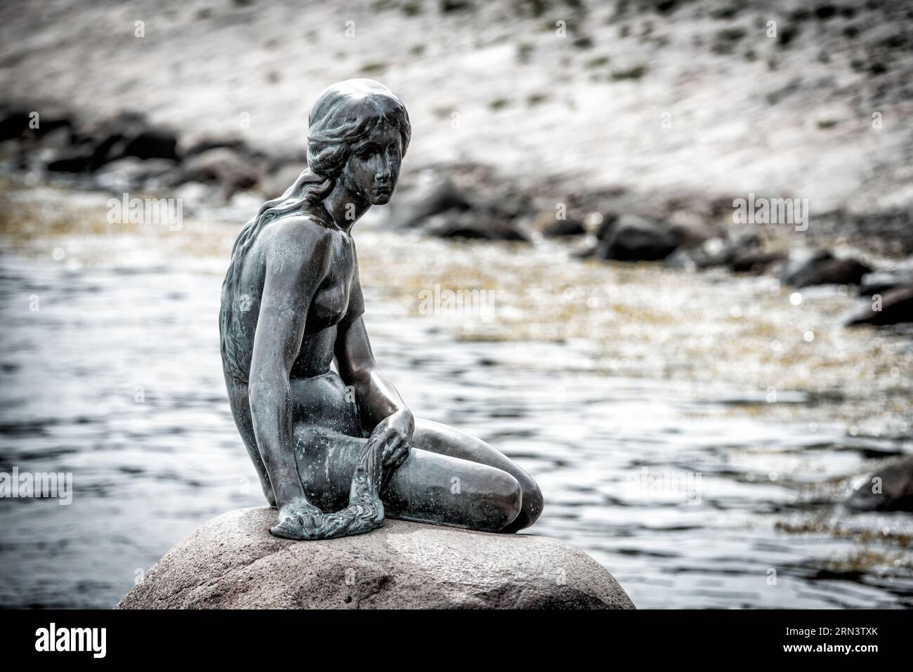 Statue de la petite Sirène Copenhague Danemark // COPENHAGUE, Danemark — L'emblématique statue de la petite Sirène perchée sur un rocher au bord de l'eau à Langelinie Promenade. Commandée en 1909 et dévoilée en 1913, cette statue en bronze est devenue un emblème de Copenhague et s'inspire du conte de Hans Christian Andersen du même nom. Banque D'Images Statue de la petite Sirène Copenhague Danemark // COPENHAGUE, Danemark — L'emblématique statue de la petite Sirène perchée sur un rocher au bord de l'eau à Langelinie Promenade. Commandée en 1909 et dévoilée en 1913, cette statue en bronze est devenue un emblème de Copenhague et s'inspire du conte de Hans Christian Andersen du même nom. Banque D'Images