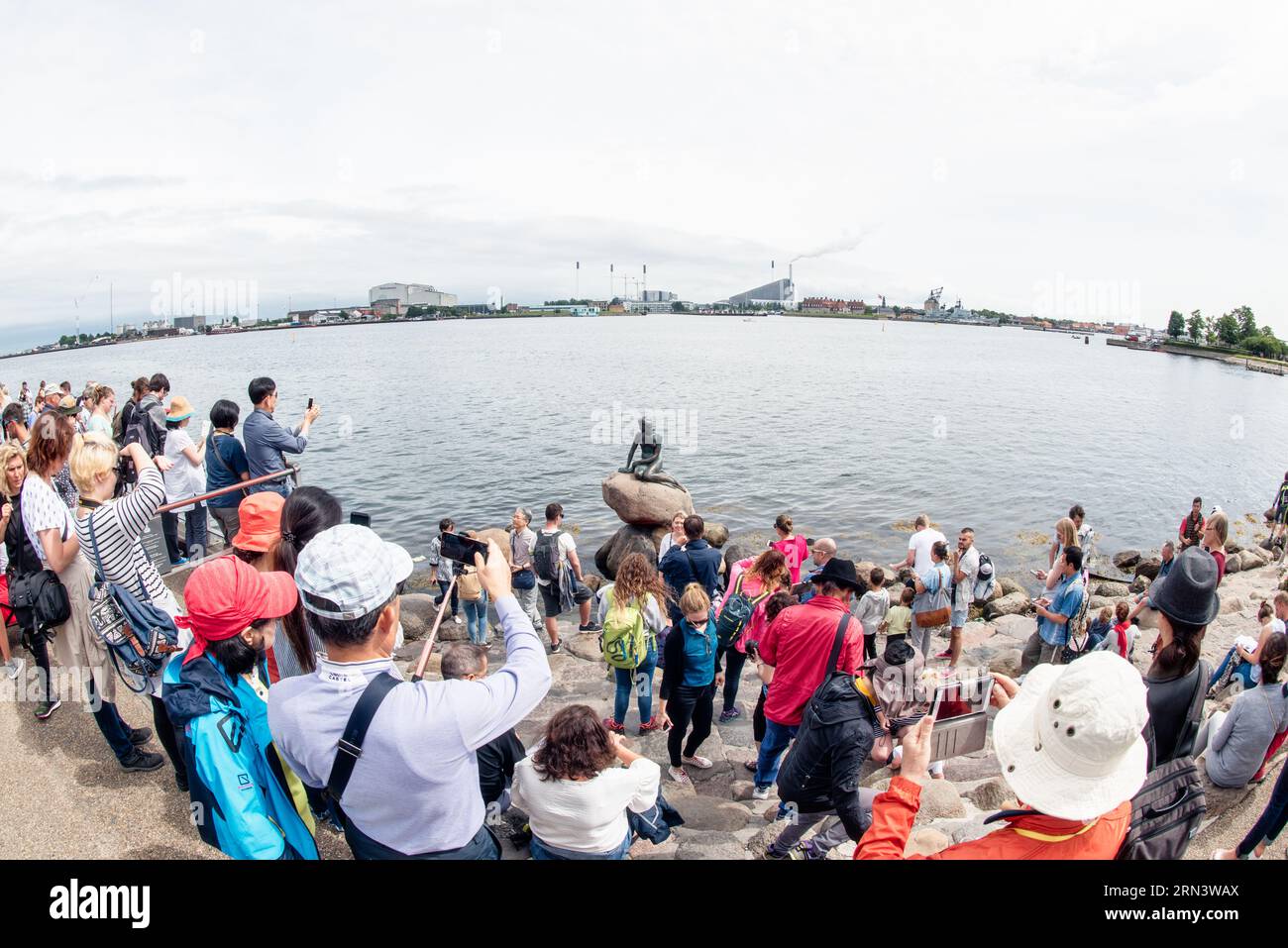 Statue de la petite Sirène Langelinie Promenade Copenhague // COPENHAGUE, Danemark — L'emblématique statue de la petite Sirène perchée sur un rocher au bord de l'eau à Langelinie Promenade. Commandée en 1909 et dévoilée en 1913, cette statue en bronze est devenue un emblème de Copenhague et s'inspire du conte de Hans Christian Andersen du même nom. Banque D'Images Statue de la petite Sirène Langelinie Promenade Copenhague // COPENHAGUE, Danemark — L'emblématique statue de la petite Sirène perchée sur un rocher au bord de l'eau à Langelinie Promenade. Commandée en 1909 et dévoilée en 1913, cette statue en bronze est devenue un emblème de Copenhague et s'inspire du conte de Hans Christian Andersen du même nom. Banque D'Images