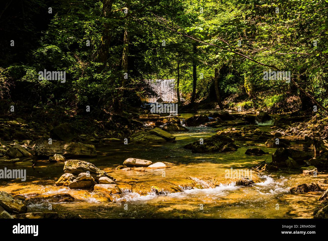 Vallée boisée et cascade sur la rivière Fosso dell'Acquacheta près de San Benedetto à Alpe, Emilie-Romagne, Italie Banque D'Images