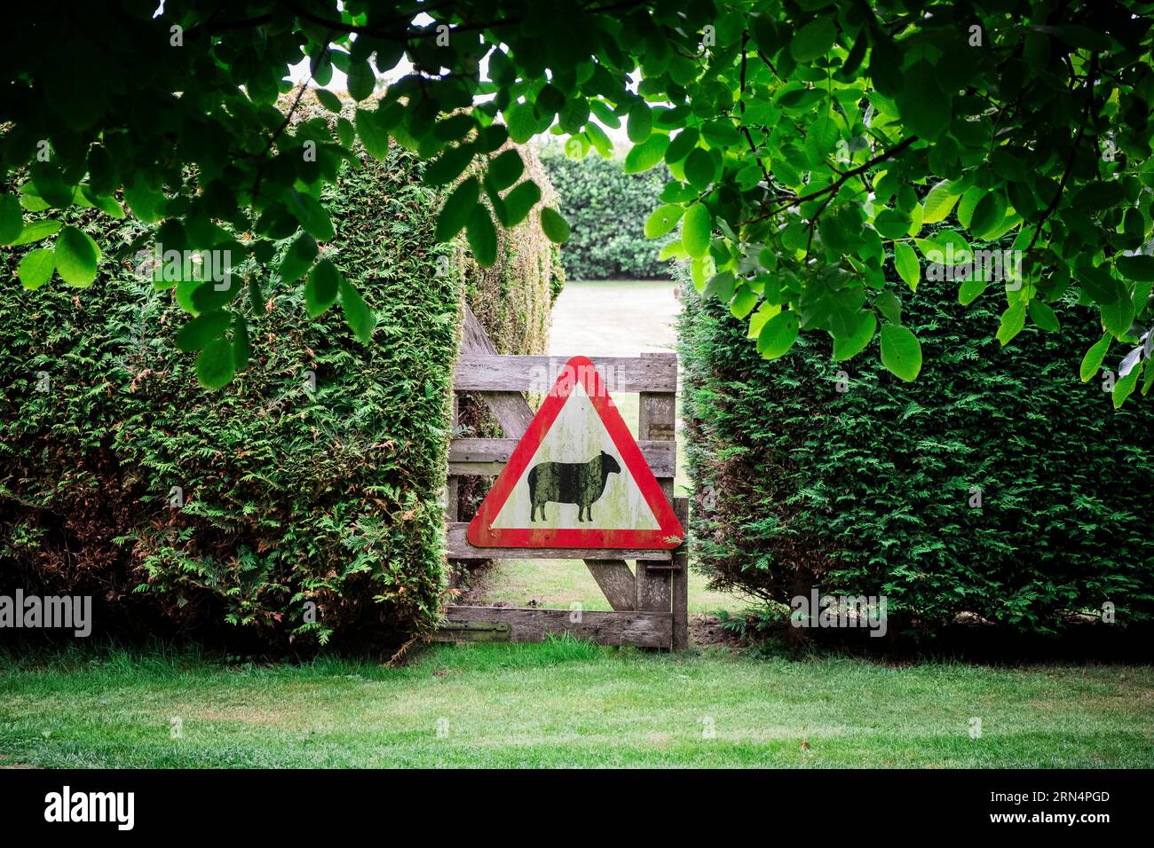 Passage pour les moutons interdit, panneau sur une porte de jardin sur Terschelling, pays-Bas Banque D'Images