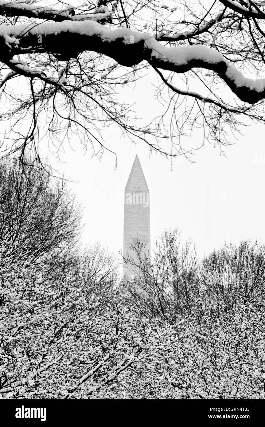 Washington Monument en hiver, Washington, D.C. photographie en noir et blanc du monument s'élevant au-dessus d'arbres enneigés. Banque D'Images