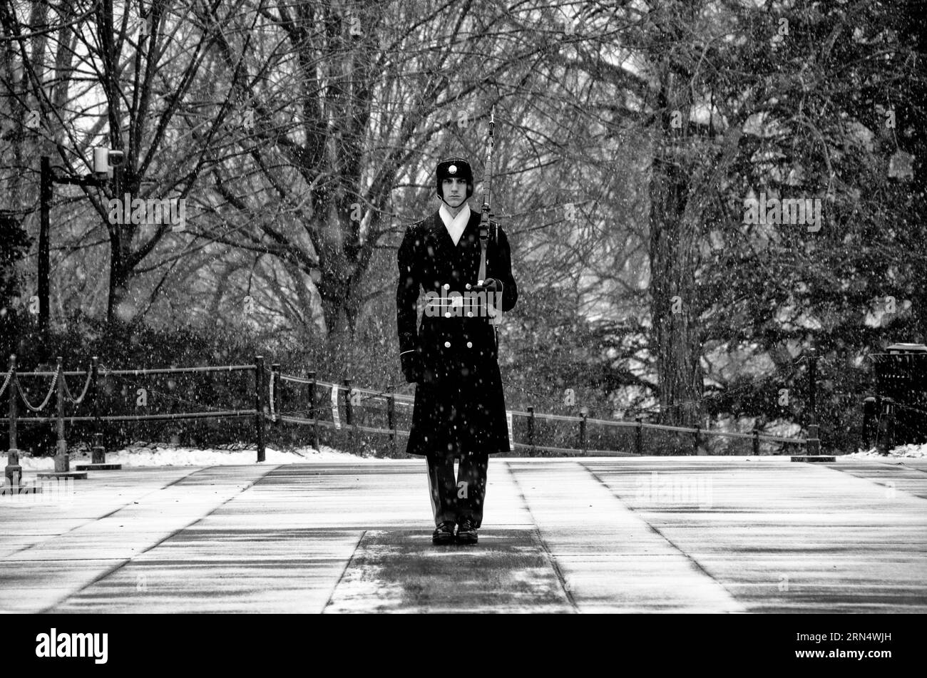 Tombeau du soldat inconnu Sentinel, Arlington, Virginie. Photographie en noir et blanc montrant un gardien en uniforme debout à l'attention dans la neige qui tombe. Banque D'Images