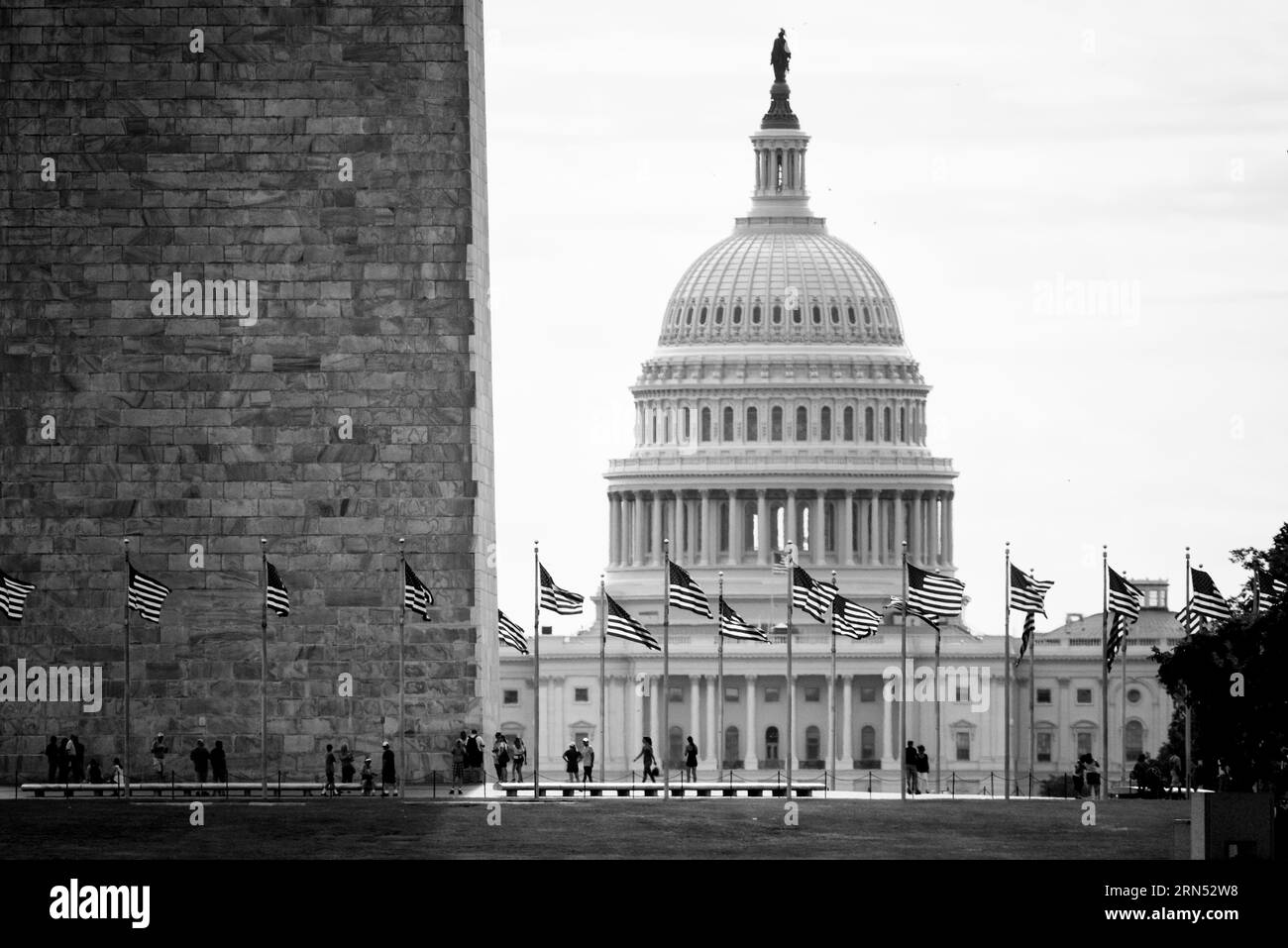 Dôme du Capitole américain, Capitol Hill, Washington DC — Photo en noir et blanc | Dôme du Capitole américain, Capitol Hill, Washington, D.C. Photographie en noir et blanc montrant la coupole encadrée par le Washington Monument, avec des drapeaux américains au premier plan. Banque D'Images