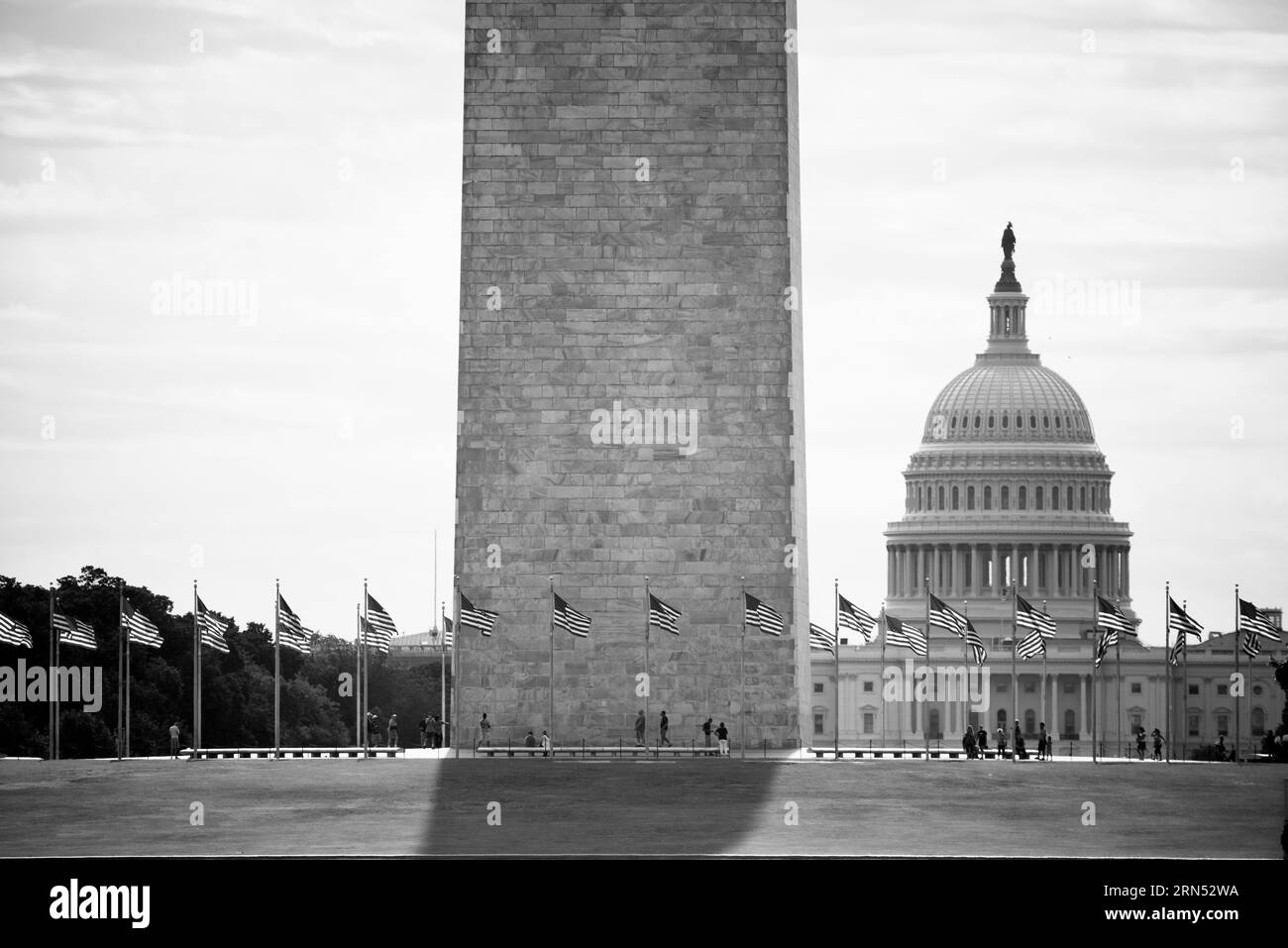 Dôme du Capitole américain et Monument de Washington, Capitol Hill, Washington DC — Photo noir et blanc | Dôme du Capitole américain et Monument de Washington, Capitol Hill, Washington DC. Photographie noir et blanc montrant le dôme et le monument avec des drapeaux au premier plan. Banque D'Images