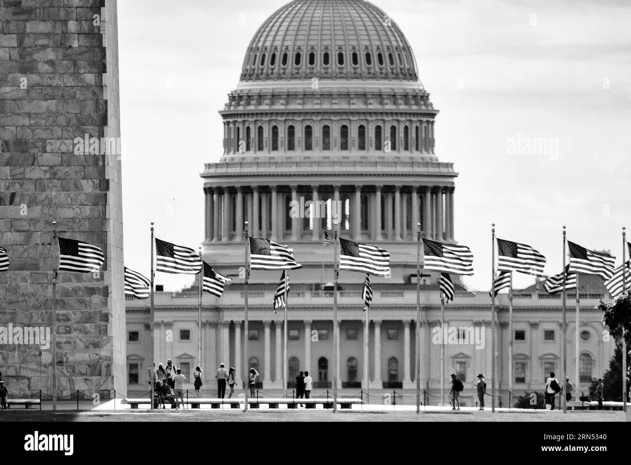 Dôme du Capitole des États-Unis, Capitol Hill, Washington DC — Photo noir et blanc | Dôme du Capitole sur Capitol Hill, Washington, D.C. Photographie en noir et blanc montrant le dôme derrière une rangée de drapeaux américains. Banque D'Images