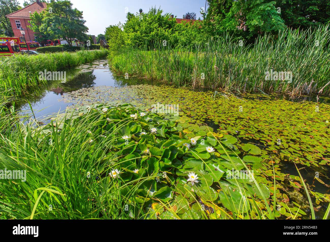 Fossé d'eau avec nénuphars au château de Bederkesa dans la station thermale de boue, Bad Bederkesa, triangle Elbe-Weser, Basse-Saxe, Allemagne Banque D'Images