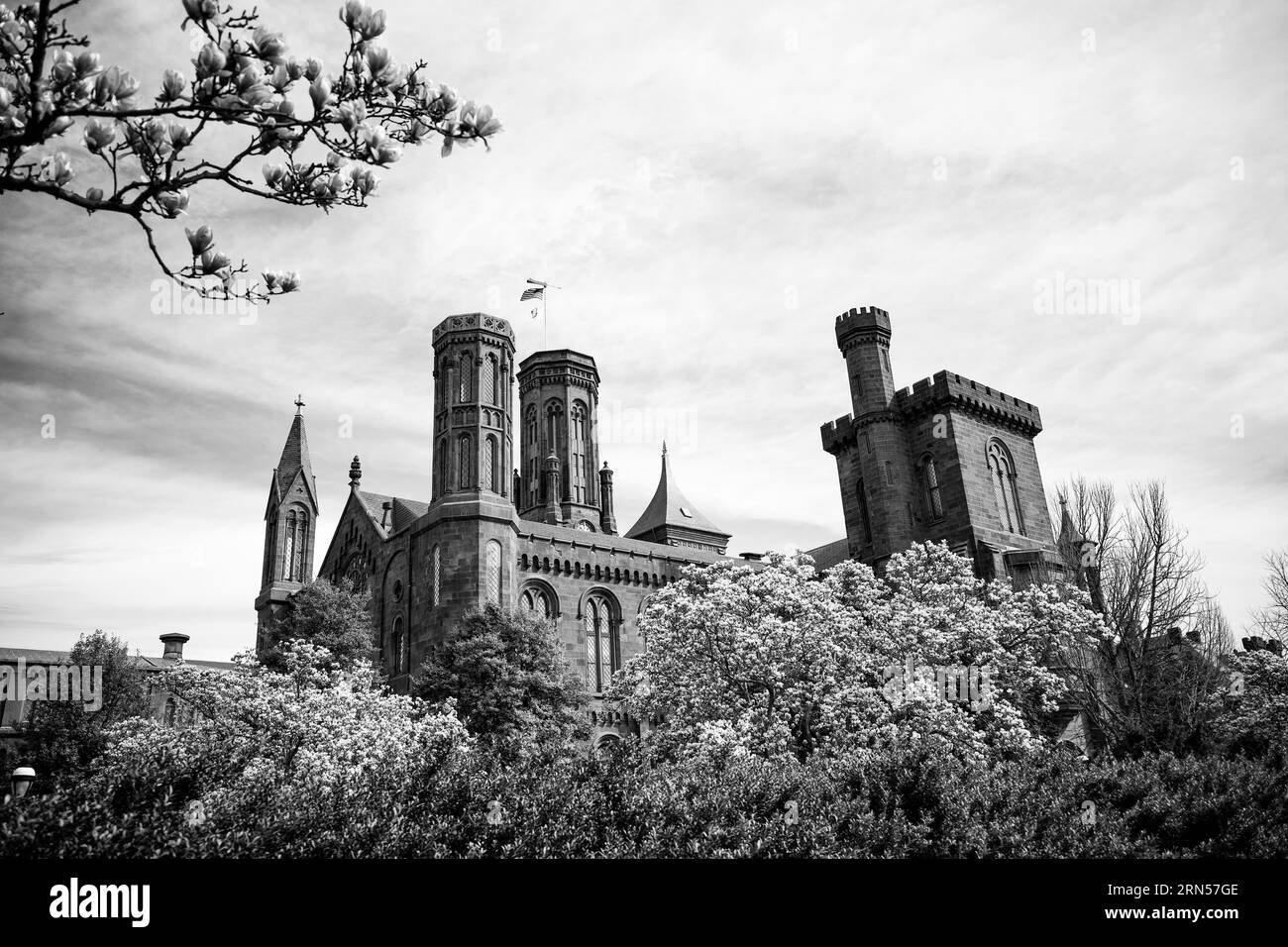 Smithsonian Castle, National Mall, Washington DC — Photo noir et blanc | Smithsonian Castle, National Mall, Washington, D.C. Photographie noir et blanc des tours et de l'architecture du bâtiment vues à travers des arbres en fleurs. Banque D'Images