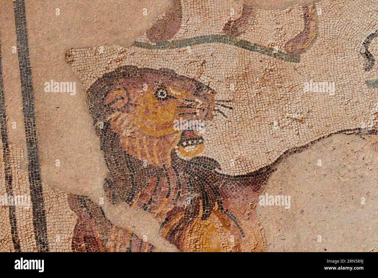 Lion, mosaïques romaines, Villa Romana del Casale, site du patrimoine mondial de l'UNESCO, Piazza Armerina, province d'Enna, Sicile, Italie Banque D'Images