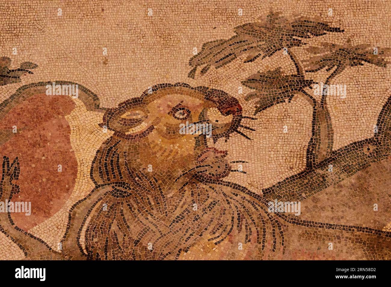 Lion, mosaïques romaines, Villa Romana del Casale, site du patrimoine mondial de l'UNESCO, Piazza Armerina, province d'Enna, Sicile, Italie Banque D'Images