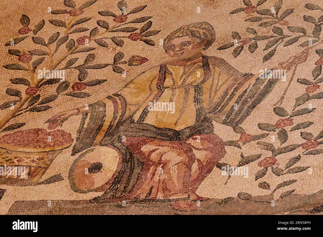 Femme cueillant des fruits, mosaïques romaines, Villa Romana del Casale, site du patrimoine mondial de l'UNESCO, Piazza Armerina, province d'Enna, Sicile, Italie Banque D'Images