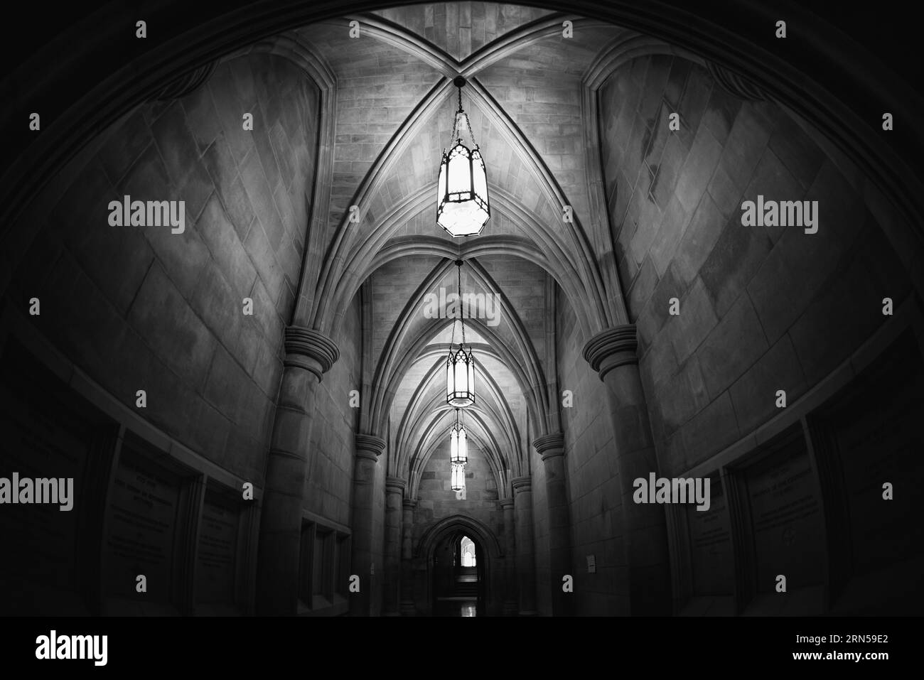 WASHINGTON, DC - un plafond gothique voûté dans le couloir de la crypte de la cathédrale nationale de Washington. La cathédrale nationale de Washington est une église épiscopale située à Washington DC et est le site de nombreux services de l'église et du souvenir de Washington DC. Conçue dans le style néo-gothique, sa construction a commencé en 1906, et les travaux se poursuivent au cours des décennies suivantes. C'est le deuxième bâtiment d'église le plus grand des États-Unis et se dresse comme la quatrième structure la plus haute de Washington DC, une caractéristique soulignée en étant assis sur un point élevé surplombant la ville. Il est le plus connu sous le nom de Banque D'Images