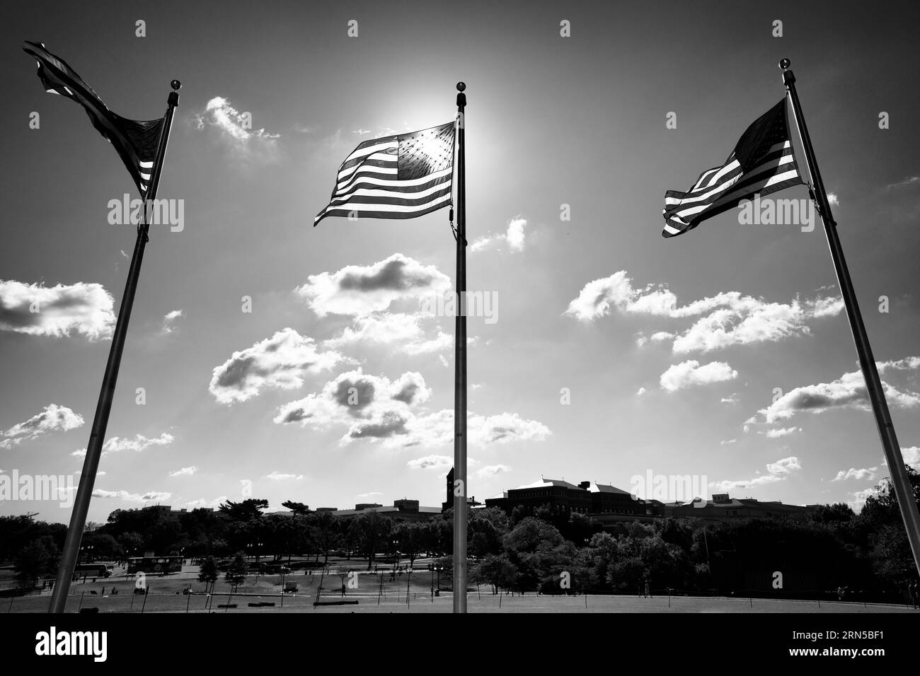 Drapeaux américains, Washington DC — Photo en noir et blanc | Drapeaux américains au soleil, Washington, D.C. Photographie en noir et blanc montrant trois drapeaux flottant contre un ciel lumineux au-dessus d'un paysage bordé d'arbres. Banque D'Images