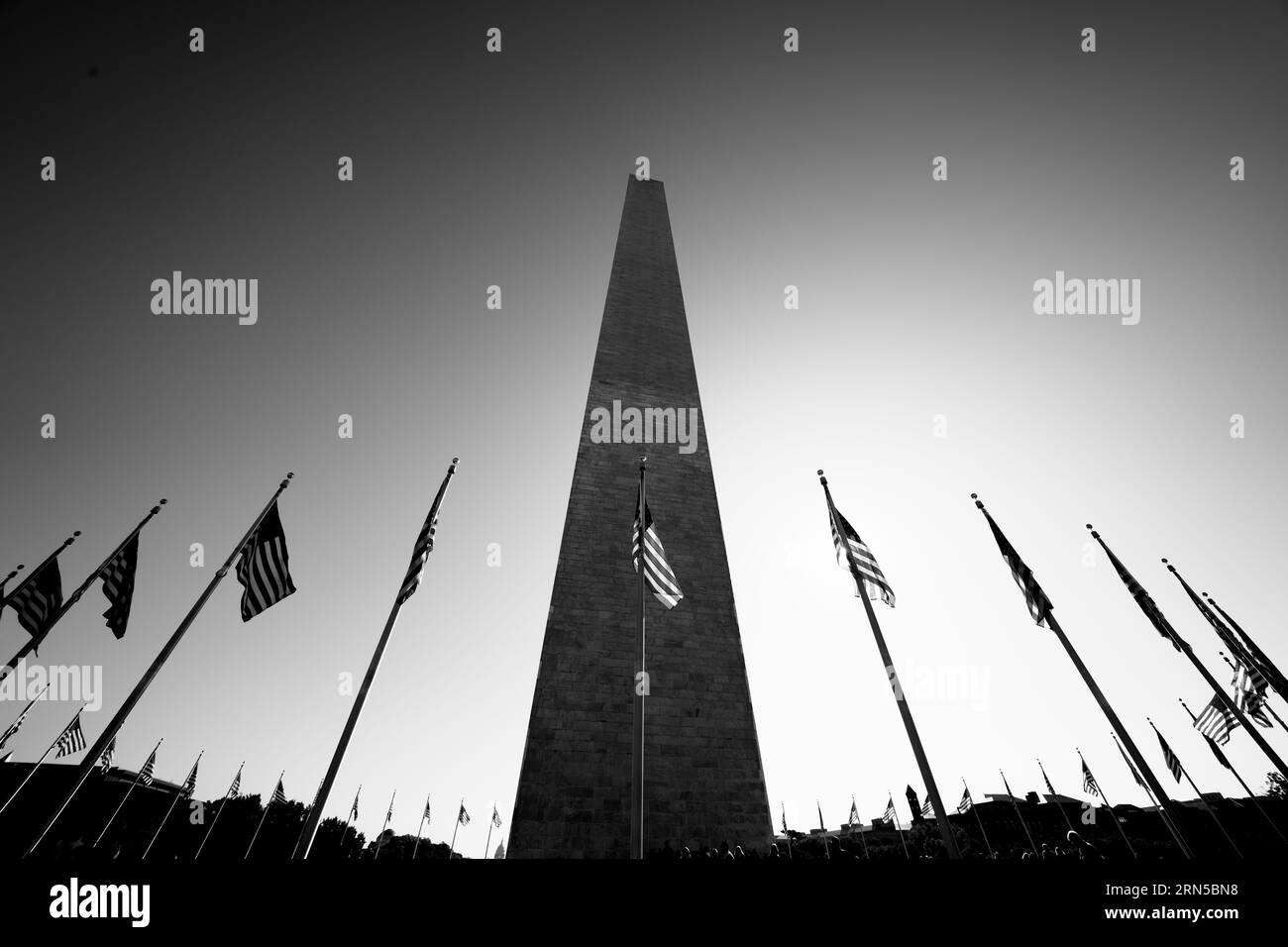 Washington Monument avec drapeaux, Washington, D.C. la photographie en noir et blanc montre une vue en bas angle de l'obélisque entouré de drapeaux américains. Banque D'Images