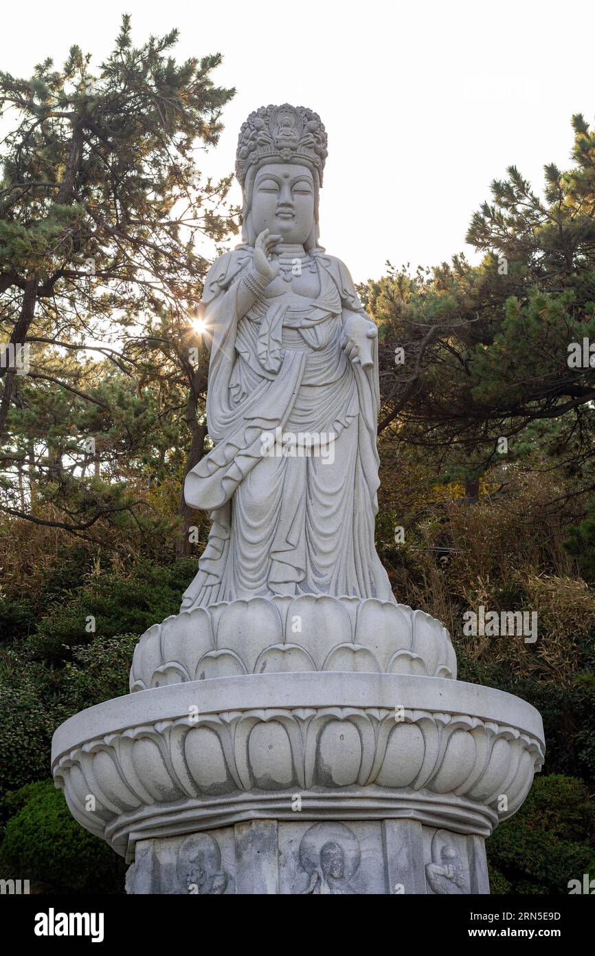 Gwanseeum-bosal, le Bodhisattva de la compassion, Temple Haedong Yonggungsa, Busan, province de Gyeongsangnam-do Banque D'Images