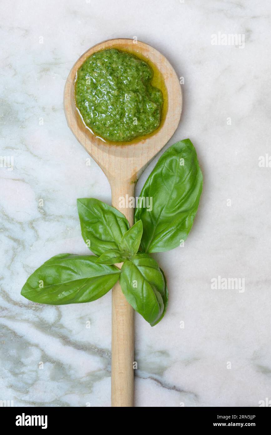 Pesto à la cuillère en bois et basilic, sauce pour pâtes Banque D'Images