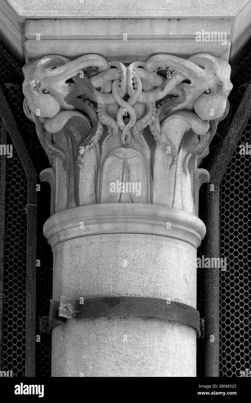 Partie décorative d'une colonne de soutien avec des motifs de crabes, pieuvres, poissons et coquillages, bâtiment historique marché aux poissons, Rijeka, Croatie Banque D'Images