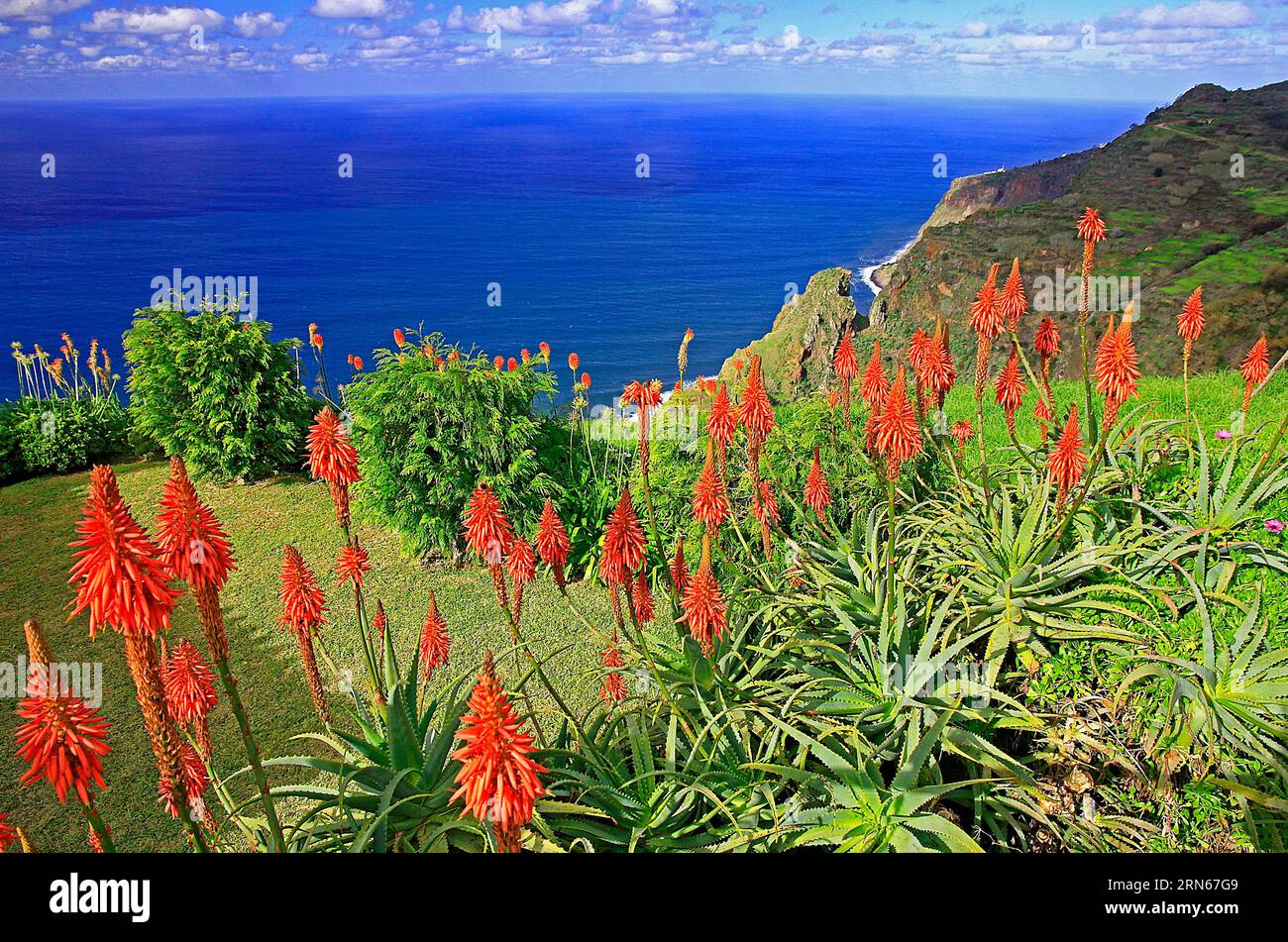 Blick auf Atlantik, Aloen, Prazeres, Südküste, Insel Madeira Banque D'Images