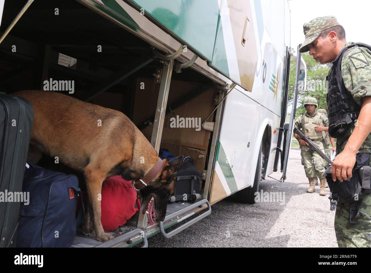 ACAPULCO, le 14 juillet 2015 -- des membres de l'armée mexicaine vérifient un autocar lors d'une opération de recherche du roi de la drogue du Mexique, Joaquin El Chapo Guzman, au poste de péage de la Venta, entrée d'Acapulco, État de Guerrero, au sud du Mexique, le 14 juillet, 2015. Javier Verdin) (rtg) MEXICO-ACAPULCO-SECURITY-GUZMAN LOERA e JavierxVerd¨ªn PUBLICATIONxNOTxINxCHN Acapulco, Mexique juillet 14 2015 des membres de l'armée MEXICAINE vérifient un entraîneur lors d'une opération de recherche pour le roi de la drogue du Mexique Joaquin El Chapo Guzman AU poste de péage de la Venta entrée d'Acapulco, Mexique État de Guerrero au sud du Mexique LE 14 201 juillet Banque D'Images