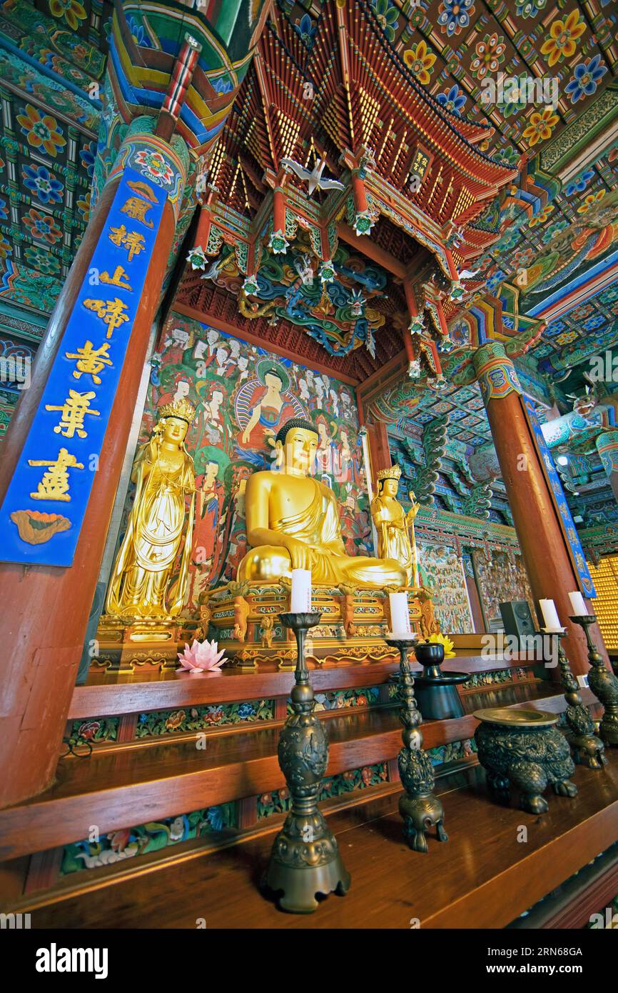 Figure de Bouddha dans la salle de prière, temple Baekyangsa ou Baegyangsa dans le parc national de Naejangsan, temple principal de l'ordre Jogye du bouddhisme coréen Banque D'Images