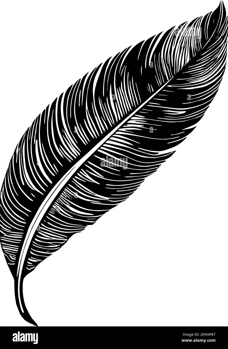 contour graphique noir représentant une plume d'oiseau, un logo, un motif Banque D'Images