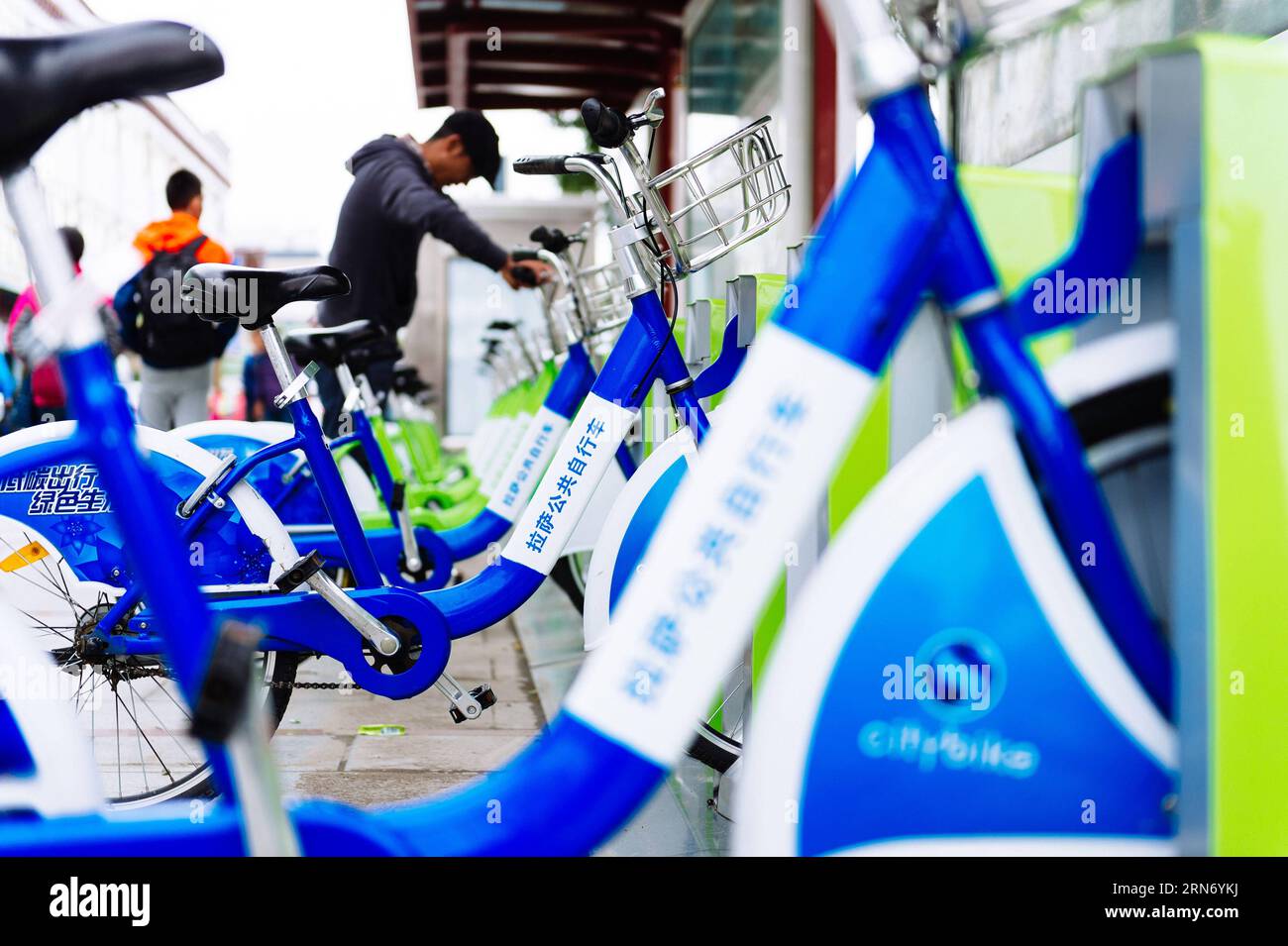 (150811) -- LHASSA, 11 août 2015 -- une photo prise le 5 août 2015 montre des vélos publics installés dans la ville de Lhassa, capitale de la région autonome du Tibet du sud-ouest de la Chine. Ces dernières années, la ville de Lhassa a mis en œuvre de nombreuses mesures pour améliorer l’environnement. Des bus et des taxis à gaz et électriques, des bus et des taxis électriques ont été mis en service. Plus de 500 vélos publics ont été installés dans les rues de la ville. Le tour de vélo et le tourisme de tricycle sont devenus la mode dans et autour de la ville. Dans les maisons des gens, les panneaux solaires et les cuisinières solaires sont essentiels pour leur vie. ) (ZWX) CHINE-TIBET-LHASSA-ENVIRONNEMENT PROTE Banque D'Images