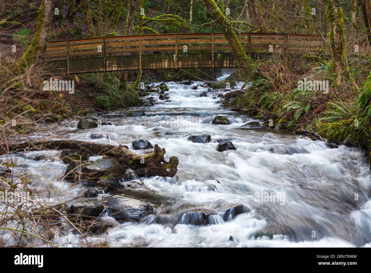 Sentier de randonnée sur le pont de Bridal Veil Creek en aval de Bridal Veil Falls près de Portland Oregon Banque D'Images