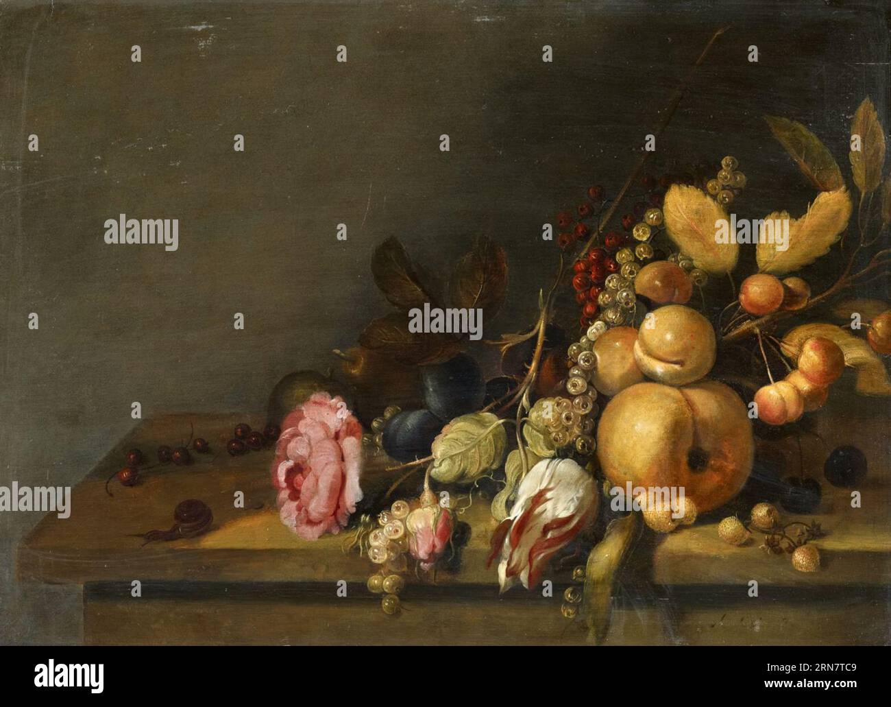 Nature morte de roses et de fruits sur une table vers 1645 par Hans Bollongier Banque D'Images