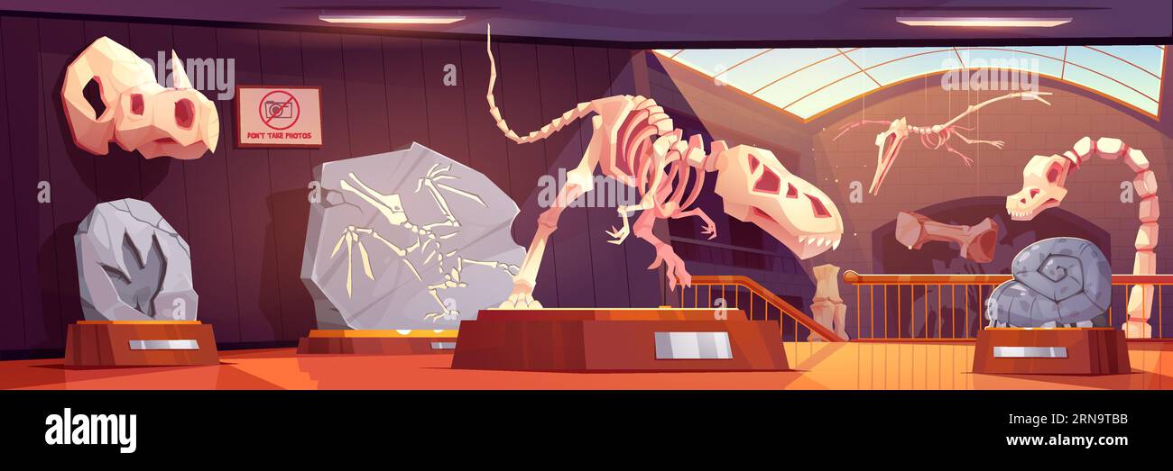 Fossil dinosaur skeletons in museum of history, archaeology and paleontology science. Prehistoric museum interior with exhibits of ancient animals bon Illustration de Vecteur