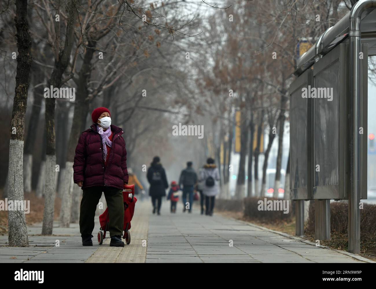 Smog in China (151221) -- SHENYANG, 21 décembre 2015 -- des résidents marchent dans une rue entourée de smog à Shenyang, capitale de la province du Liaoning du nord-est de la Chine, 21 décembre 2015. Plus de 30 villes dans le nord du pays sont actuellement touchées par une pollution lourde ou grave, qui devrait persister jusqu'à mardi et devrait s'atténuer à partir de mercredi, a déclaré dimanche le ministère de la protection de l'environnement. (wf) CHINA-LIAONING-SMOG (CN) LixGang PUBLICATIONxNOTxINxCHN smog en Chine Shenyang DEC 21 2015 résidents marchent SUR une rue enveloppée de SMOG à Shenyang capitale du nord-est de la Chine S Liaoning Provi Banque D'Images