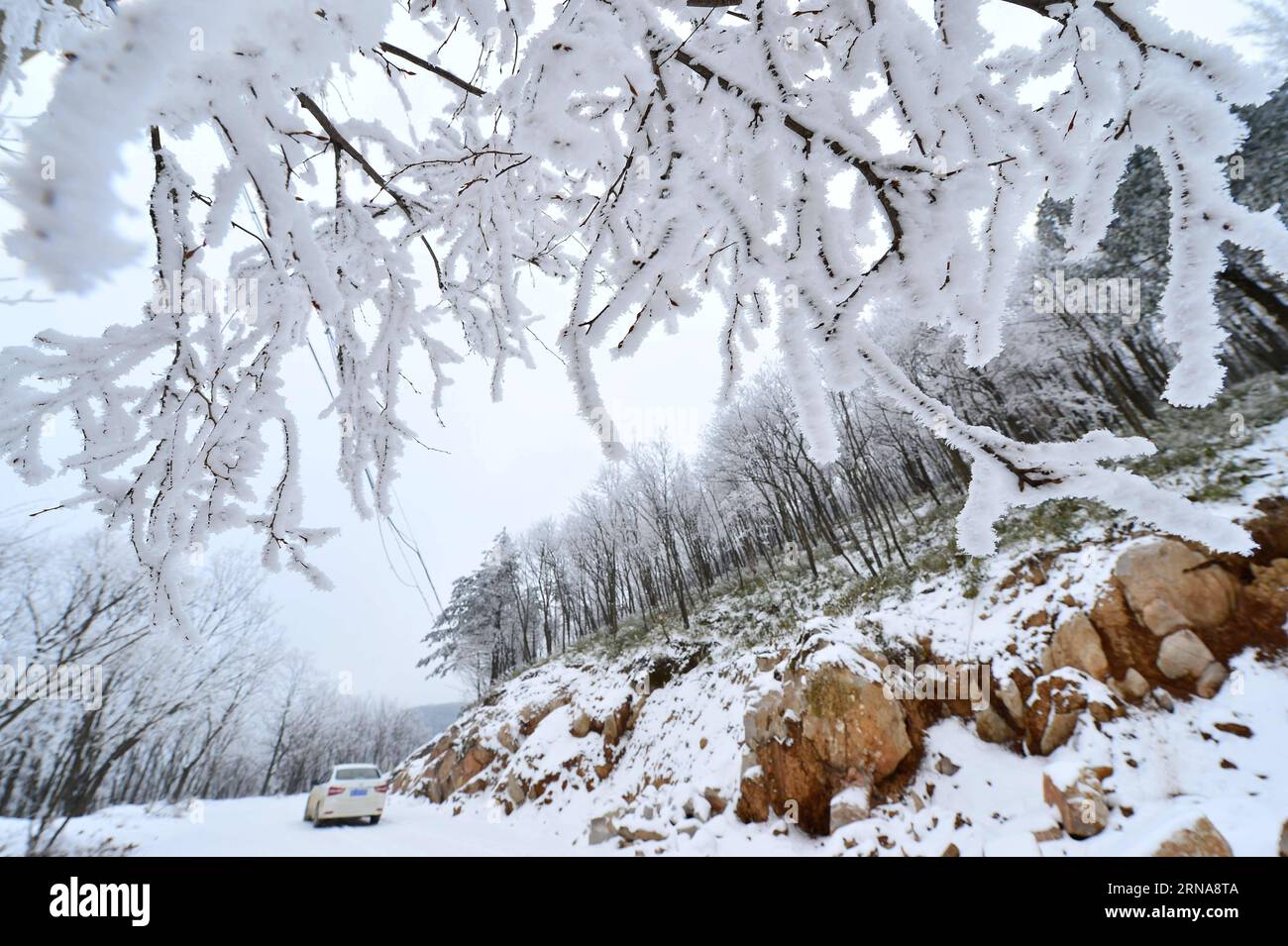 XIANGYANG, le 13 janvier 2016 -- la photo prise le 13 janvier 2016 montre le paysage de rime du canton de Longping, dans le comté de Baokang, dans la ville de Xiangyang, dans la province du Hubei en Chine centrale. (Ry) CHINA-HUBEI-XIANGYANG-RIME SCENERY (CN) YangxTao PUBLICATIONxNOTxINxCHN Xiang Yang Jan 13 2016 photo prise LE 13 2016 janvier montre le paysage rime À long Ping Township du comté de Baokang dans la ville de Xiang Yang Yang Central China S Hubei province de Ry China Hubei Xiang Yang Yang Yang scène CN Banque D'Images