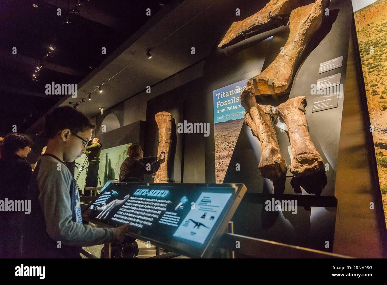 (160114) -- NEW YORK, 14 janvier 2016 -- des écoliers examinent l'exposition sur le squelette de Titanosaure au Musée américain d'histoire naturelle de New York, États-Unis, le 14 janvier 2016. À partir de janvier 15, le Musée américain d'histoire naturelle ajoutera une autre exposition incontournable - un moulage d'un dinosaure de 122 pieds (37.2m). Le dinosaure n'a pas encore été officiellement nommé par les scientifiques qui l'ont découvert, mais les paléontologues ont déduit qu'il s'agissait d'un herbivore géant appartenant à un groupe connu sous le nom de titanosaures pesant jusqu'à 70 tonnes. Le moulage est basé sur 84 os fossiles qui ont été excavés i Banque D'Images