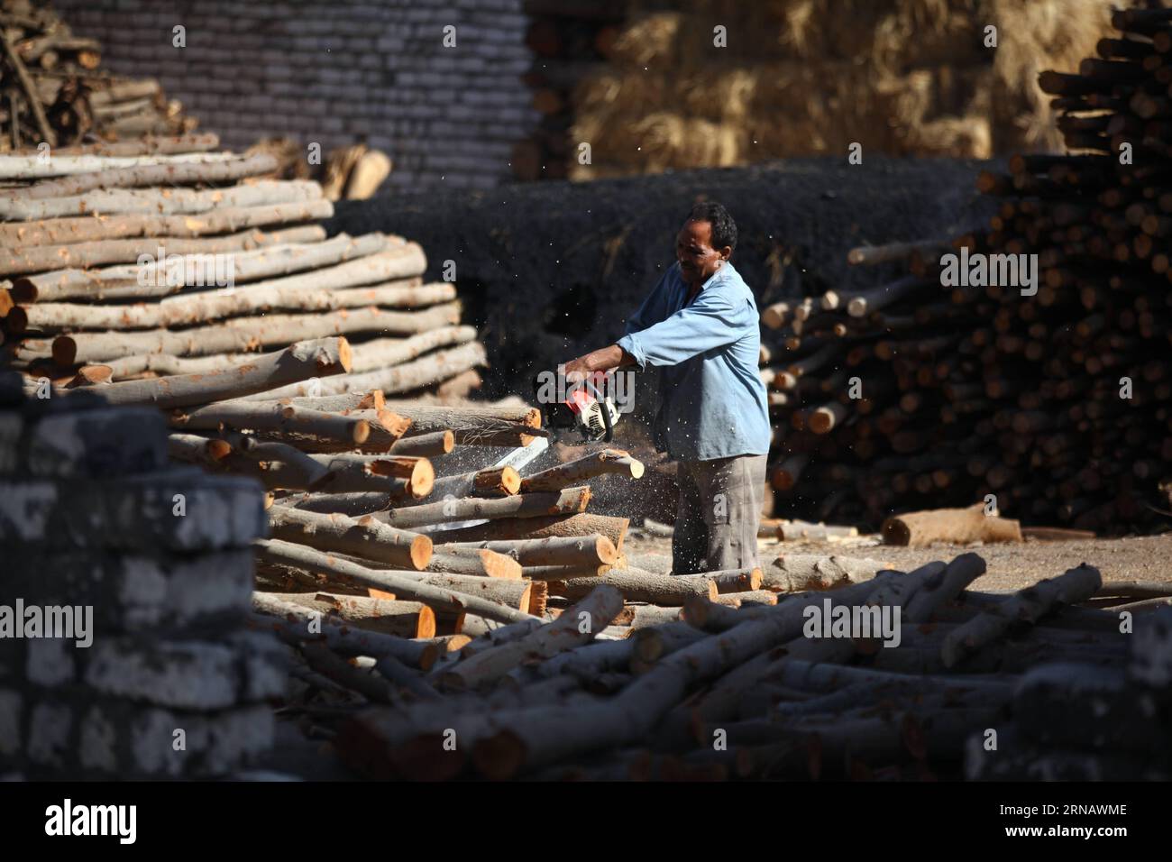 Un ouvrier égyptien du charbon de bois coupe du bois pour fabriquer du charbon dans une usine de charbon de Sharqia, en Égypte, le 7 février 2016. Il y avait environ 300 usines de charbon en Egypte avec plus de 5 000 travailleurs employés. Mais le gouvernement égyptien en ferme maintenant beaucoup pour réduire la pollution environnementale causée par les unités industrielles de charbon de bois. )(zhf) EGYPTE-SHARQIA-PRODUCTION DE CHARBON AhmedxGomaa PUBLICATIONxNOTxINxCHN à l'Egyptian Charcoal travailleur coupe des bois pour faire du charbon À une usine de charbon à Sharqia Egypte LE 7 2016 février il y avait environ 300 usines de charbon en Egypte avec plus de 5 000 travailleurs Emplo Banque D'Images