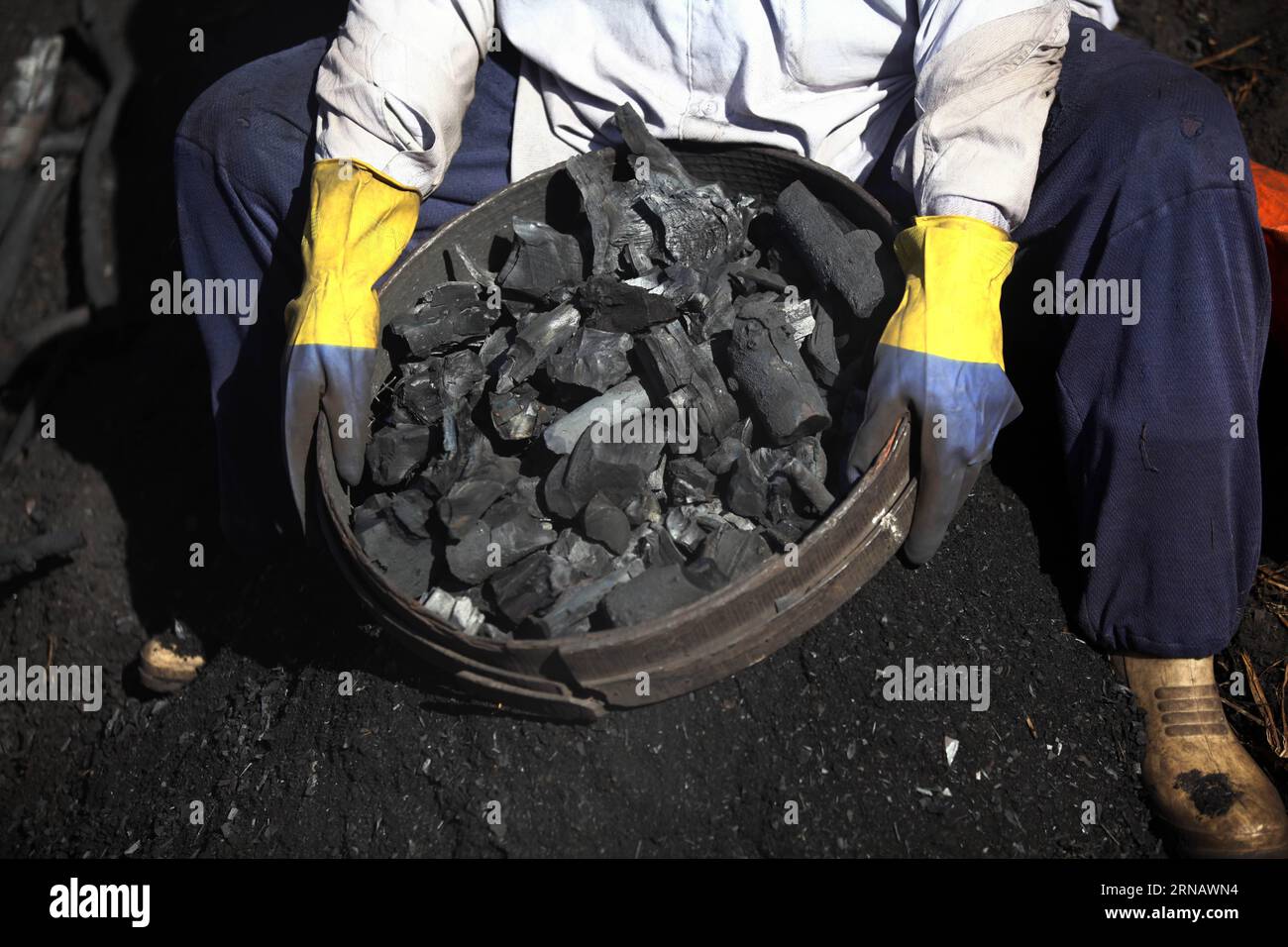 Un ouvrier égyptien montre du charbon dans une usine de charbon de bois à Sharqia, en Égypte, le 7 février 2016. Il y avait environ 300 usines de charbon en Egypte avec plus de 5 000 travailleurs employés. Mais le gouvernement égyptien en ferme maintenant beaucoup pour réduire la pollution environnementale causée par les unités industrielles de charbon de bois. )(zhf) EGYPTE-SHARQIA-PRODUCTION DE CHARBON AhmedxGomaa PUBLICATIONxNOTxINxCHN à un travailleur égyptien du charbon montre du charbon À une usine de charbon à Sharqia Egypte LE 7 2016 février, il y avait environ 300 usines de charbon en Egypte avec plus de 5 000 travailleurs employés, mais le gouvernement égyptien Banque D'Images