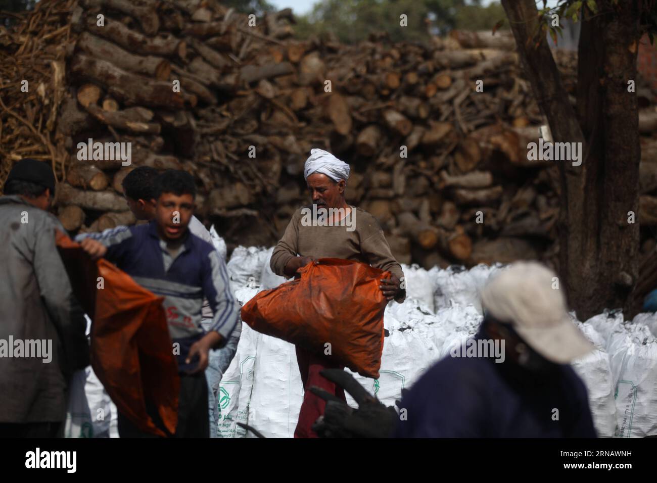 Les travailleurs égyptiens du charbon de bois travaillent dans une usine de charbon de bois à Sharqia, en Égypte, le 7 février 2016. Il y avait environ 300 usines de charbon en Egypte avec plus de 5 000 travailleurs employés. Mais le gouvernement égyptien en ferme maintenant beaucoup pour réduire la pollution environnementale causée par les unités industrielles de charbon de bois. )(zhf) ÉGYPTE-SHARQIA-PRODUCTION DE CHARBON AhmedxGomaa PUBLICATIONxNOTxINxCHN les travailleurs égyptiens de charbon travaillent DANS une usine de charbon à Sharqia Egypte LE 7 2016 février, il y avait environ 300 usines de charbon en Egypte avec plus de 5 000 travailleurs employés, mais le gouvernement égyptien EST maintenant CLO Banque D'Images