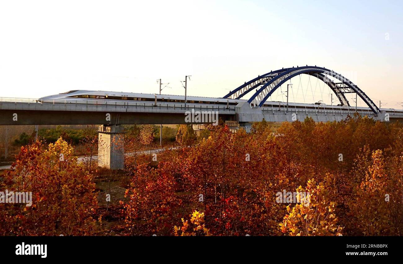 La photo prise le 25 novembre 2012 montre un train à grande vitesse traversant le pont Huanghe sur la section Zhengzhou du chemin de fer à grande vitesse Beijing-Guangzhou dans la province du Henan du centre de la Chine. La construction de plus de chemins de fer à grande vitesse a été un sujet brûlant lors des sessions annuelles des législatures provinciales et des organes consultatifs politiques de la Chine qui se sont tenues intensivement en janvier. La Chine possède le plus grand réseau ferroviaire à grande vitesse au monde, avec une longueur totale d exploitation atteignant 19 000 km à la fin de 2015, soit environ 60 pour cent du total mondial. Le réseau ferroviaire à grande vitesse en pleine expansion offre un confort sans précédent Banque D'Images