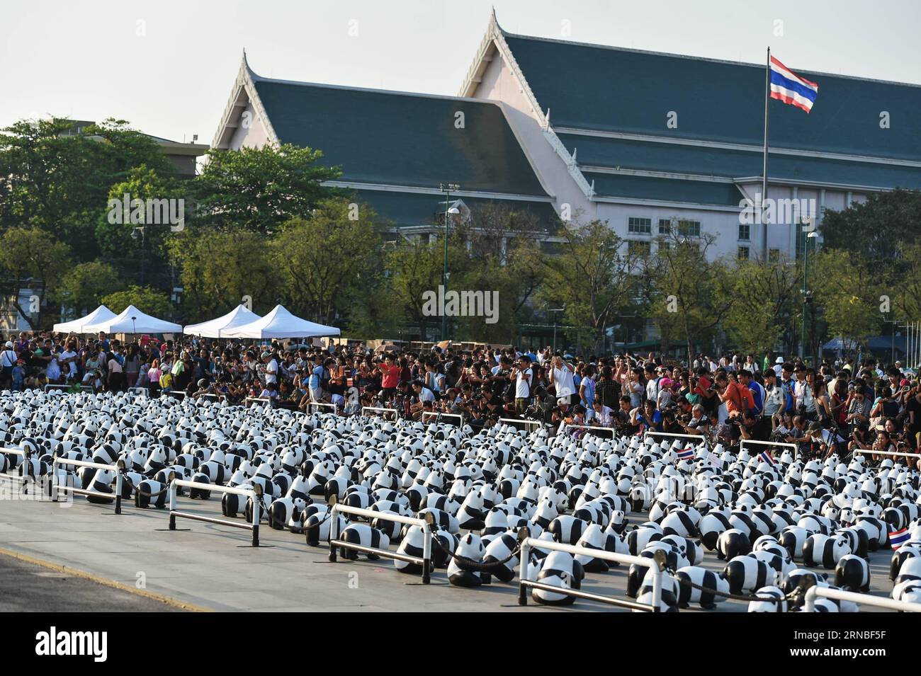 (160304) -- BANGKOK, 4 mars 2016 -- Un essaim de spectateurs regardent des pandas en papier-mache lors d'une exposition de l'œuvre d'art en papier-mache 1600 Pandas sur la place Sanam Luang à Bangkok, Thaïlande, le 4 mars 2016. 1600 Pandas , une œuvre d'art en papier-mache créée en 2008 par l'artiste français Paulo Grangeon pour le Fonds mondial pour la nature (WWF), a commencé sa tournée d'exposition en Thaïlande vendredi lors d'un premier spectacle flash-mob sur la place Sanam Luang de Bangkok qui a duré trois heures. Les 1 600 pandas en papier seront présentés à neuf autres arrêts à Bangkok et Ayutthaya avant la fin de la visite de l'exposition le 10 avril. TH Banque D'Images
