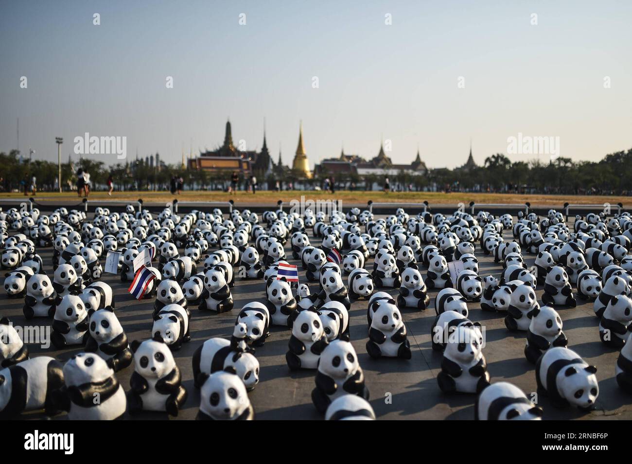 (160304) -- BANGKOK, 4 mars 2016 -- une photo prise le 4 mars 2016 montre des pandas en papier-mache lors d'une exposition de l'œuvre d'art en papier-mache 1600 Pandas sur la place Sanam Luang à Bangkok, Thaïlande. 1600 Pandas , une œuvre d'art en papier-mache créée en 2008 par l'artiste français Paulo Grangeon pour le Fonds mondial pour la nature (WWF), a commencé sa tournée d'exposition en Thaïlande vendredi lors d'un premier spectacle flash-mob sur la place Sanam Luang de Bangkok qui a duré trois heures. Les 1 600 pandas en papier seront présentés à neuf autres arrêts à Bangkok et Ayutthaya avant la fin de la visite de l'exposition le 10 avril. THAÏLANDE-B. Banque D'Images