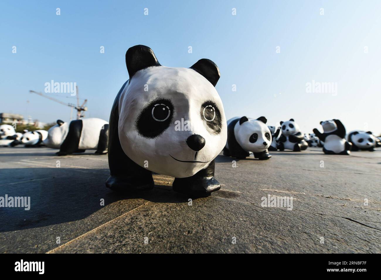 (160304) -- BANGKOK, 4 mars 2016 -- une photo prise le 4 mars 2016 montre des pandas en papier-mache lors d'une exposition de l'œuvre d'art en papier-mache 1600 Pandas sur la place Sanam Luang à Bangkok, Thaïlande. 1600 Pandas , une œuvre d'art en papier-mache créée en 2008 par l'artiste français Paulo Grangeon pour le Fonds mondial pour la nature (WWF), a commencé sa tournée d'exposition en Thaïlande vendredi lors d'un premier spectacle flash-mob sur la place Sanam Luang de Bangkok qui a duré trois heures. Les 1 600 pandas en papier seront présentés à neuf autres arrêts à Bangkok et Ayutthaya avant la fin de la visite de l'exposition le 10 avril. THAÏLANDE-B. Banque D'Images