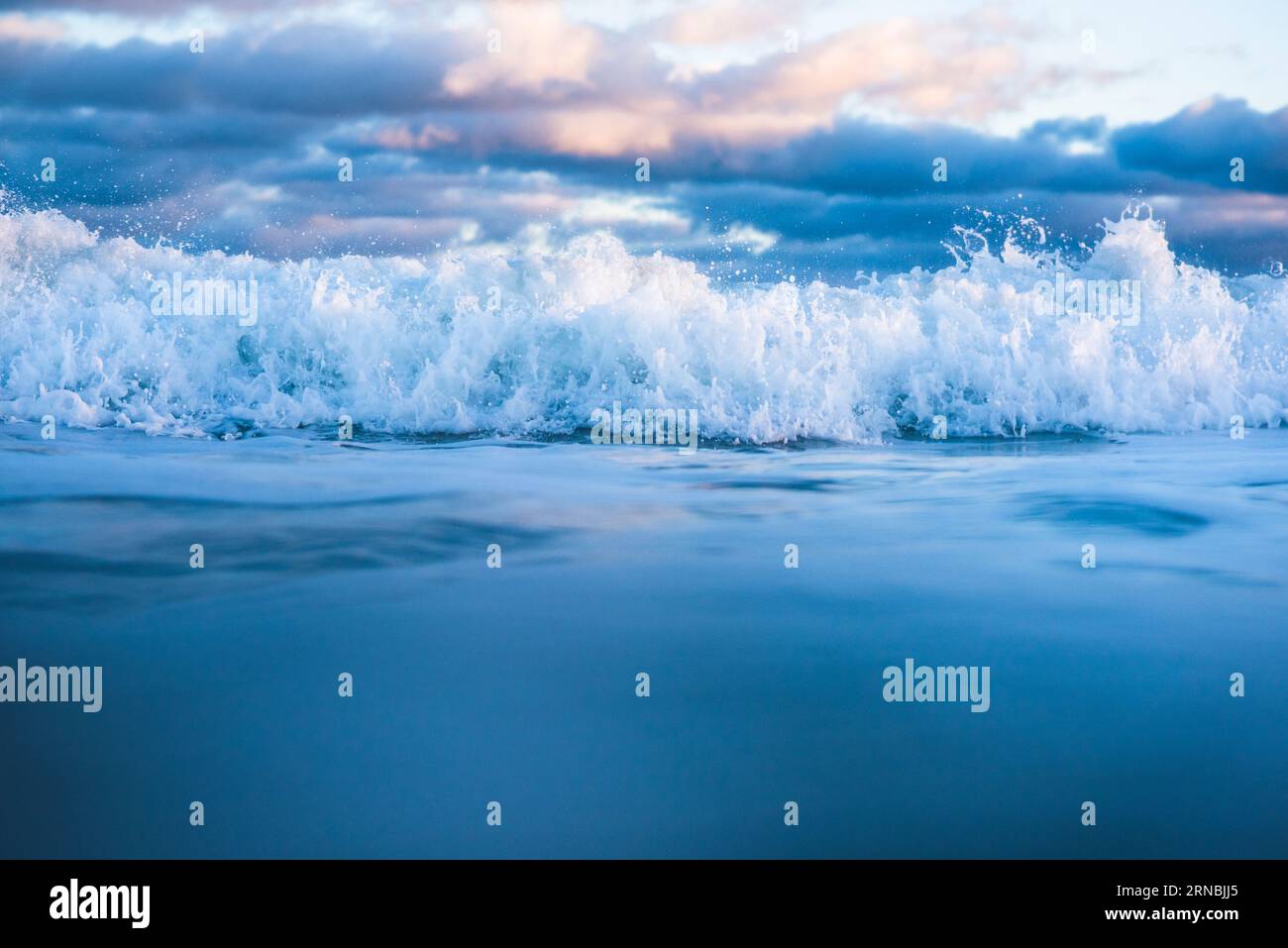 Ocean Seafoam détail au coucher du soleil Banque D'Images