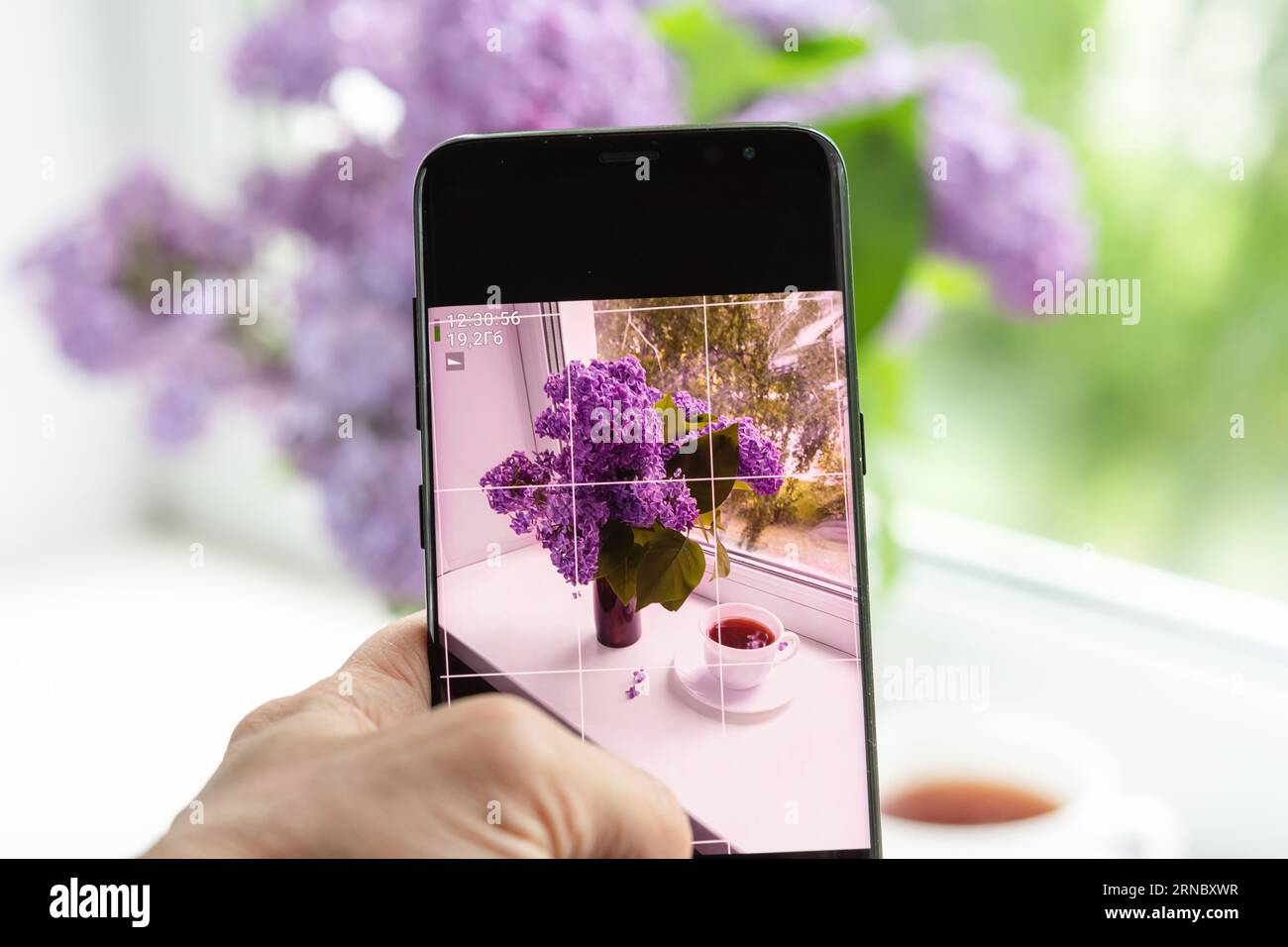 femme photographie un arrangement de fleur lilas sur une fenêtre de maison sur un smartphone pour les réseaux sociaux Banque D'Images