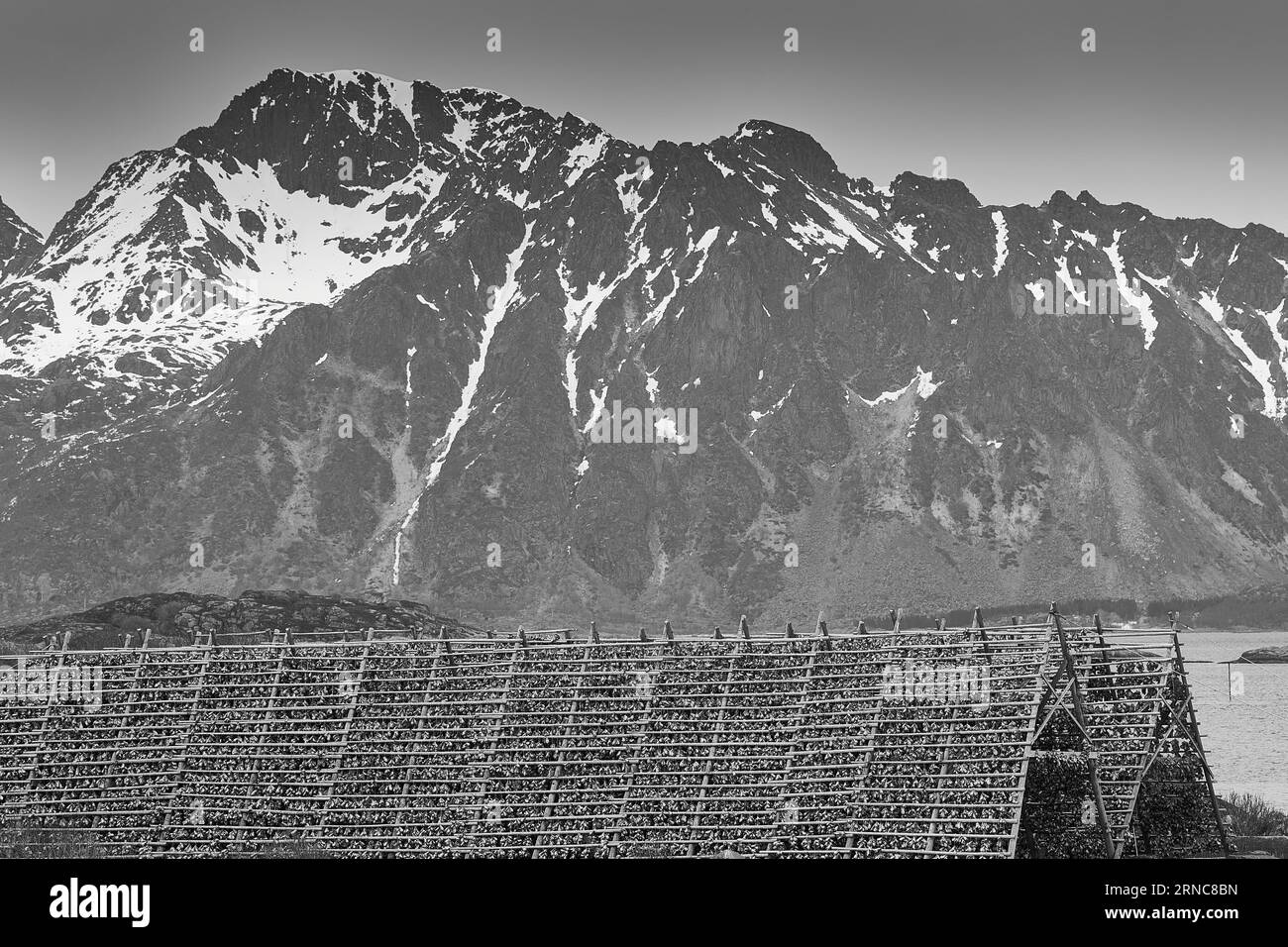 Photo en noir et blanc de flocons de poisson (Hjell) recouverts de morue séchée, dominent le mur du port dans la ville arctique des îles Lofoten de Svolvær, en Norvège Banque D'Images
