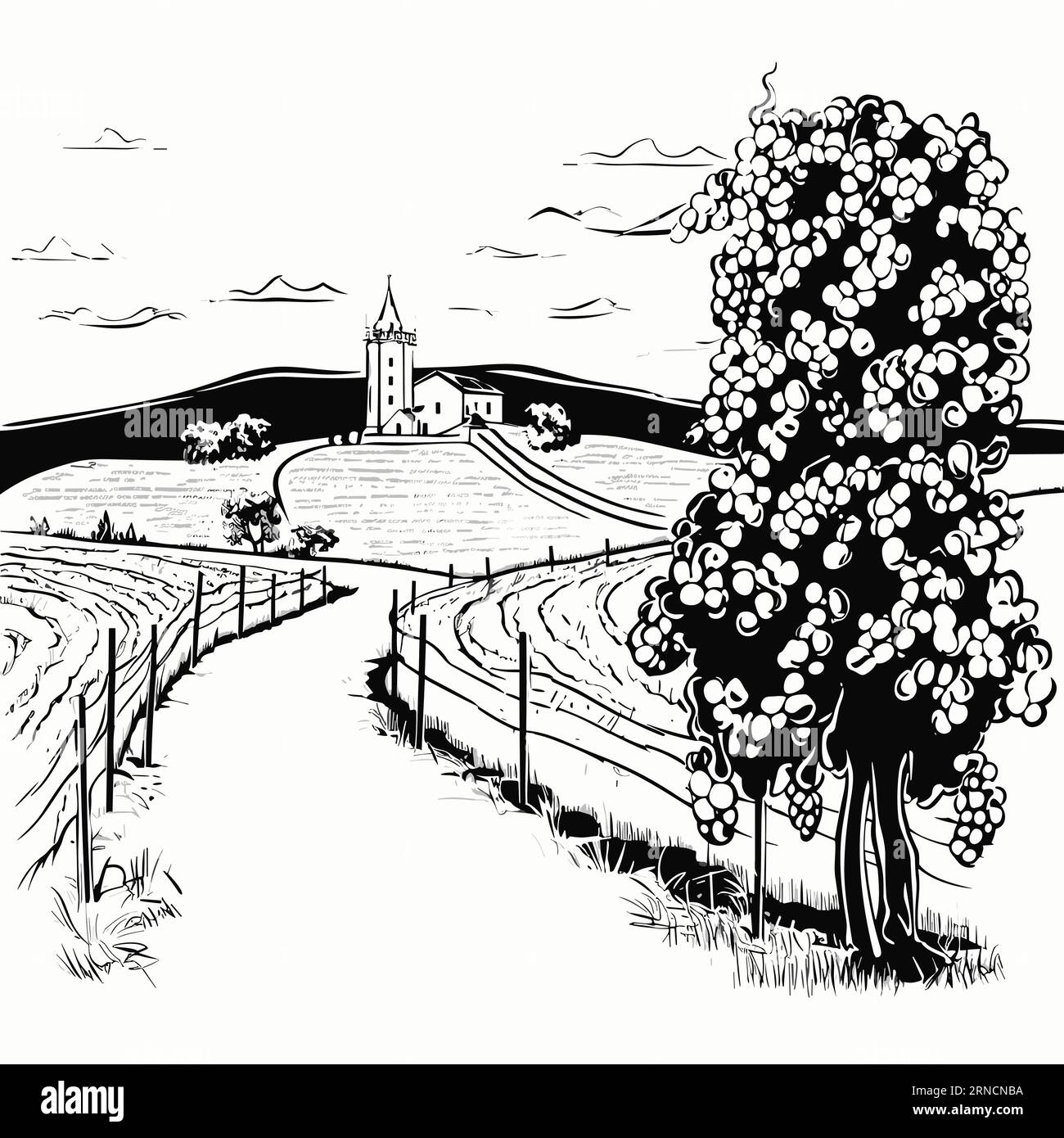 Un dessin en noir et blanc d'Un chemin à travers la campagne avec Un vignoble et des fleurs, dans le style des illustrations charmantes de personnages Illustration de Vecteur