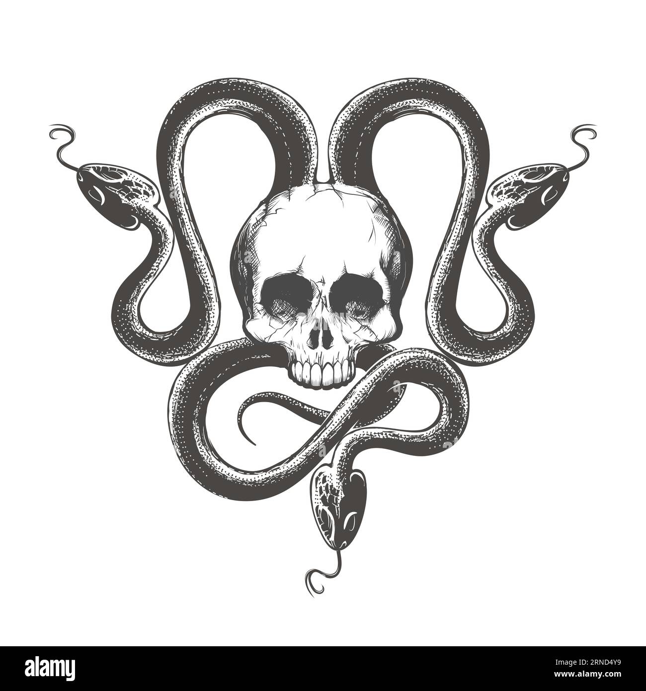 Gravure ésotérique tatouage de crâne humain dans Traingle de serpents ésotérique isolé sur blanc. Illustration vectorielle Illustration de Vecteur