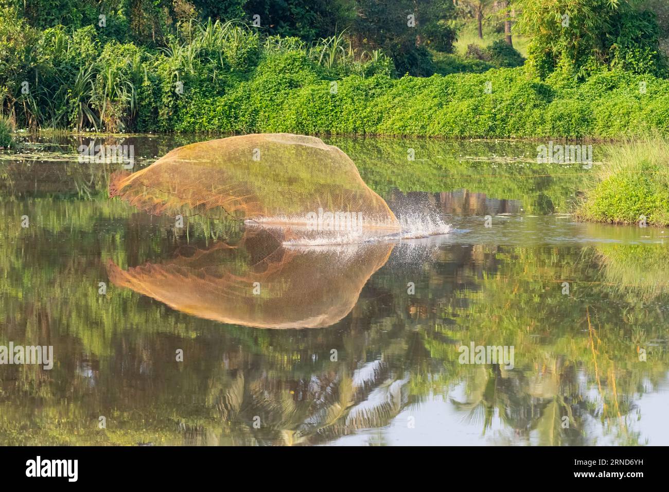 Filet de pêche jeté dans le lac dans l'inde rurale et entrant en contact avec la surface de l'eau, créant une éclaboussure. Banque D'Images