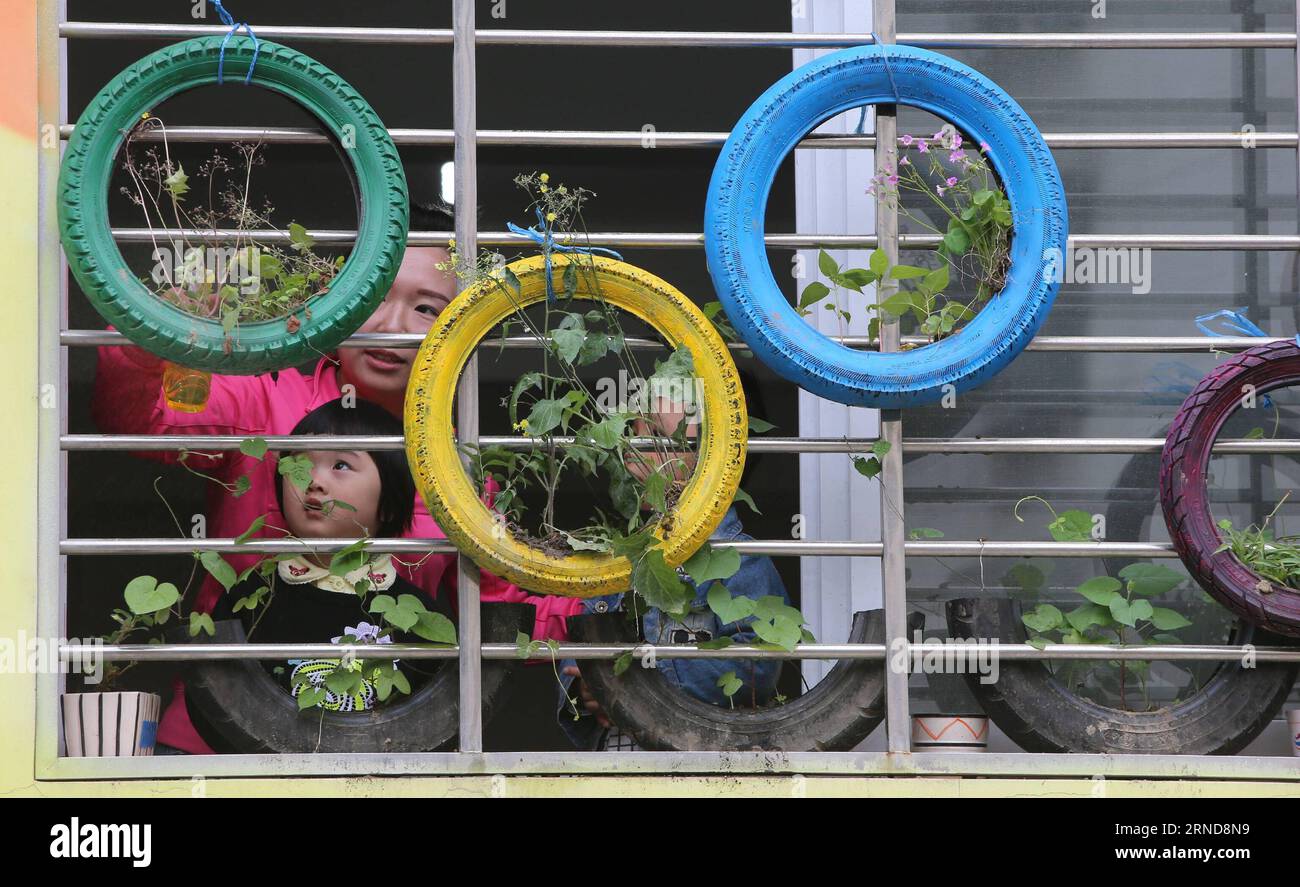 XIANGYANG, le 09 mai 2016 -- des enfants et des enseignants des plantes aquatiques dans une salle de classe du jardin d'enfants expérimental Xiangyang à Xiangyang, dans la province du Hubei, au centre de la Chine, le 9 mai 2016. Le jardin d ' enfants de Xiangyang a installé des coins de plantation dans ses salles de classe à partir du trimestre de printemps en 2016, où les enfants peuvent avoir une expérience de plantation et observer la culture des plantes sous la direction de leur enseignant. (Zwx) CHINA-HUBEI-XIANGYANG-KINDERGARTEN-PLANTING CORNER(CN) WangxHu PUBLICATIONxNOTxINxCHN Xiang Yang Mai 09 2016 enfants et enseignants plantes aquatiques DANS une salle de classe de Xiang Yang Experimental Kindergarte Banque D'Images
