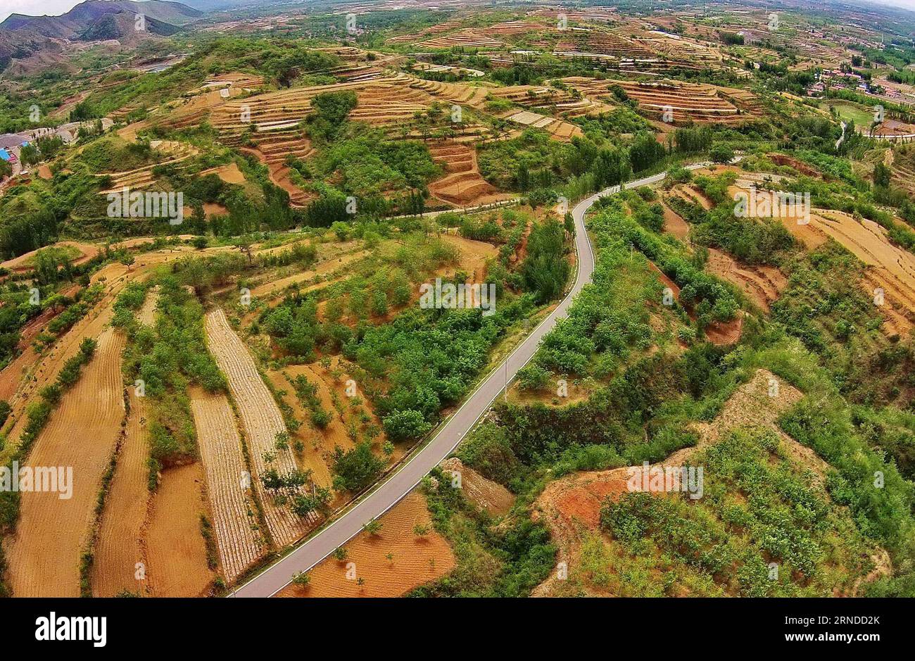 (160516) -- SHIJIAZHUANG, 16 mai 2016 -- une photo prise le 16 mai 2016 montre la scène du village de Dazhuang dans la ville de Qian an, province du Hebei, dans le nord de la Chine. Les autorités locales ont déployé des efforts de reboisement ces dernières années pour améliorer l'environnement écologique et générer des revenus pour les villageois. )(wjq) CHINA-HEBEI-QIAN AN-AFFORESTATION (CN) YangxShiyao PUBLICATIONxNOTxINxCHN 160516 Shijiazhuang Mai 16 2016 la photo prise LE 16 2016 mai montre la scène du village de Dazhuang à Qian à la ville nord de la Chine du Sud province du Hebei le gouvernement local a fait des efforts dans les afforestations ces dernières années pour améliorer l'environnement écologique Banque D'Images