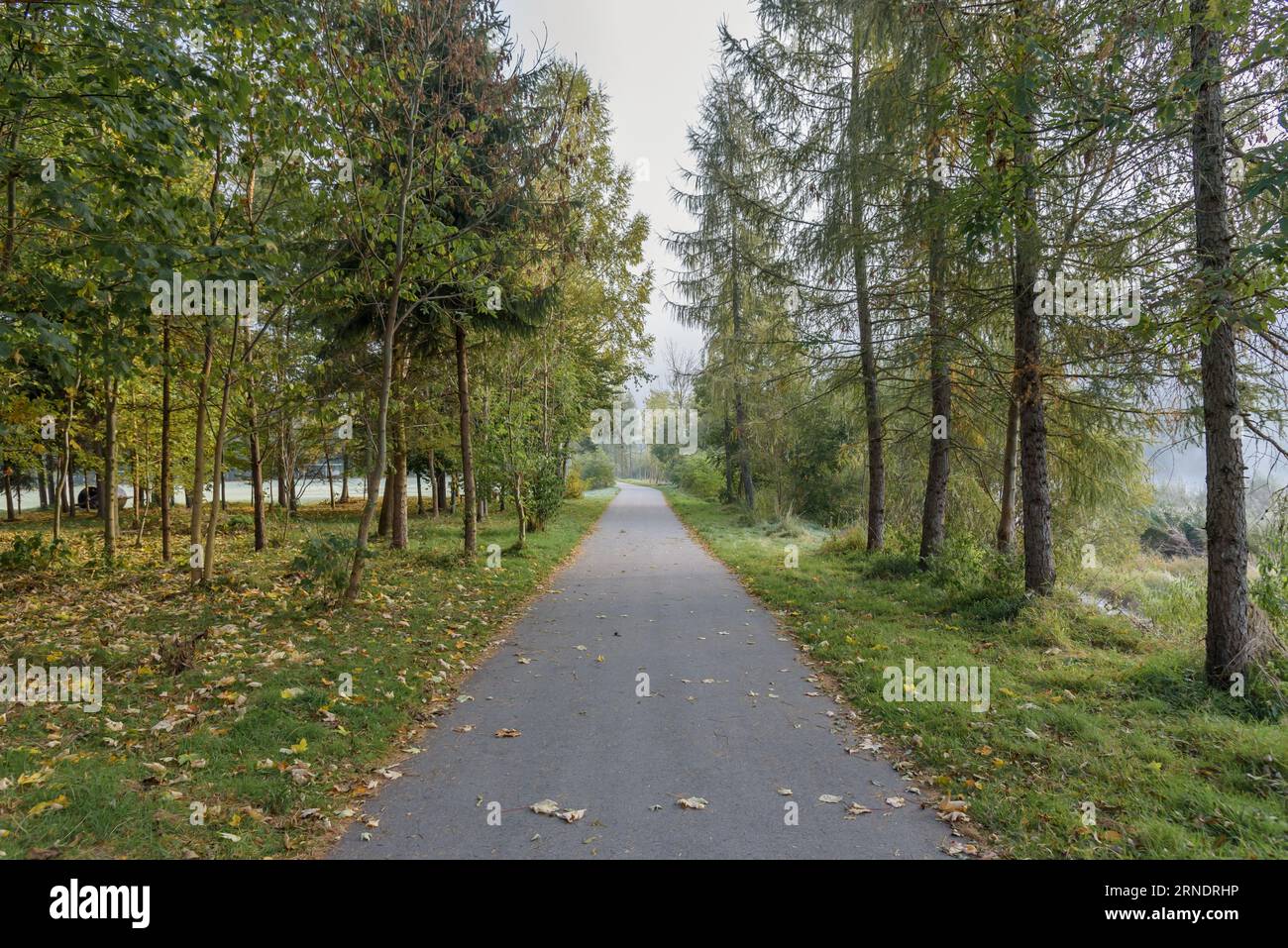 Vue d'automne de la ruelle à Sromowce Nizne au matin brumeux Banque D'Images