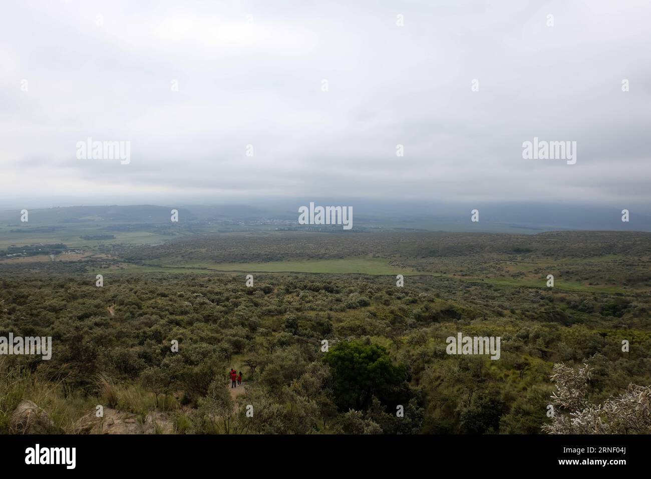 (160710) -- NAIROBI, 10 juillet 2016 -- une photo prise le 9 juillet 2016 montre une vue du parc national du Mont Longonot et une partie de la vallée du Grand Rift près de Nairobi, capitale du Kenya. Le mont Longonot est la plus haute montagne volcanique de la vallée du Grand Rift, à environ 2 800 mètres au-dessus du niveau de la mer. Le stratovolcan dormant est l'un des volcans les plus jeunes du monde, formé à partir de l'une des éruptions colossales qui est devenu connu sous le nom de Great Rift Valley.) KENYA-NAIROBI-MOUNT LONGONOT PanxSiwei PUBLICATIONxNOTxINxCHN Nairobi juillet 10 2016 la photo prise LE 9 2016 juillet montre une vue du Mont National Banque D'Images